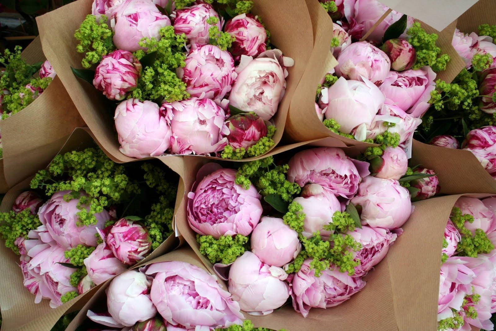 peony bouquets, brown paper, pink peonies, HD Desktop Wallpaper