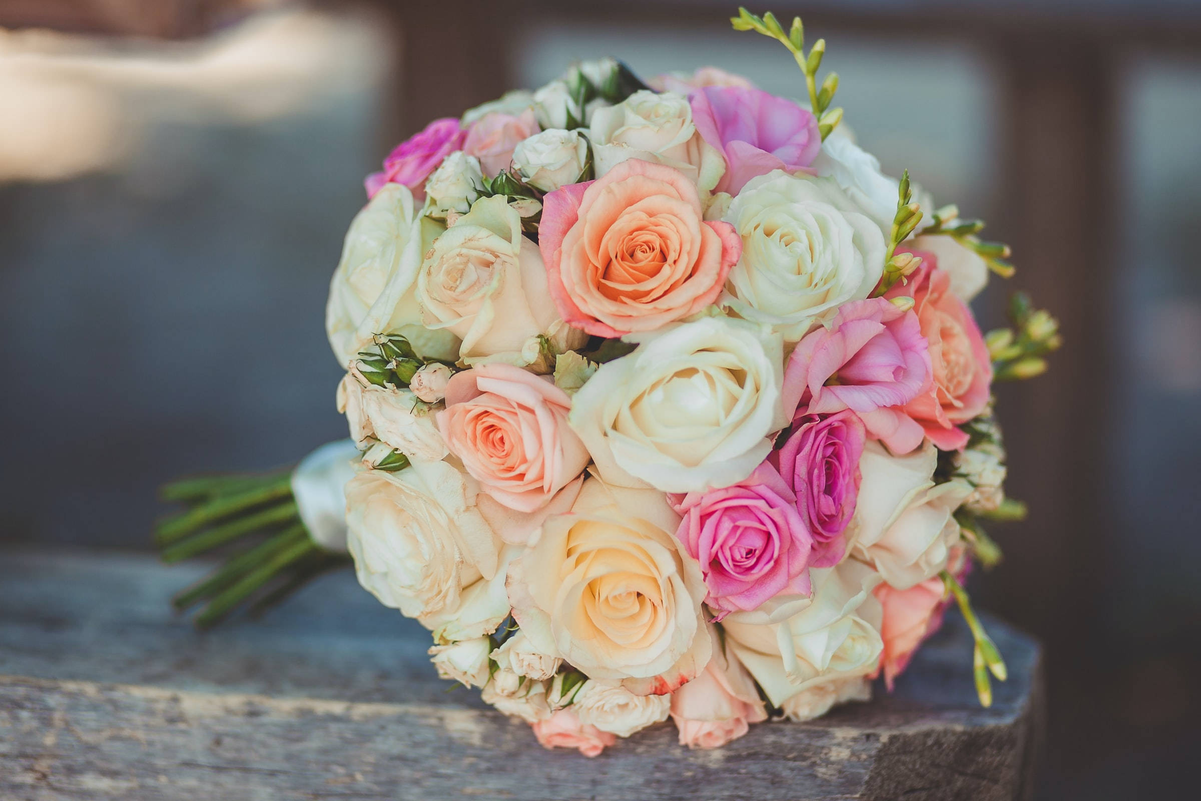white roses, peach pink roses, weathered wooden surface, Full HD Desktop Wallpaper