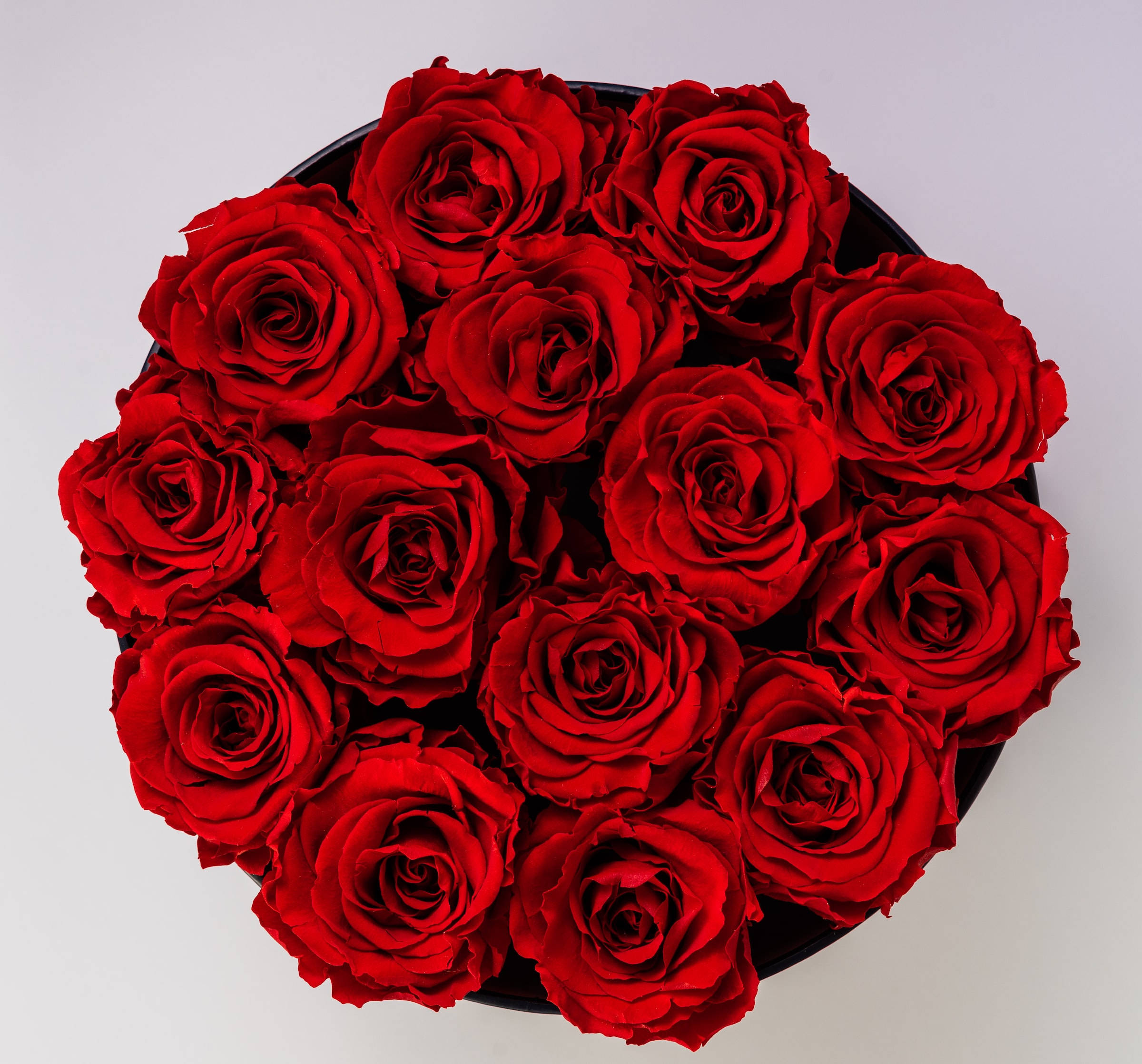 red roses, circular bouquet, black circular box, Full HD Desktop Wallpaper