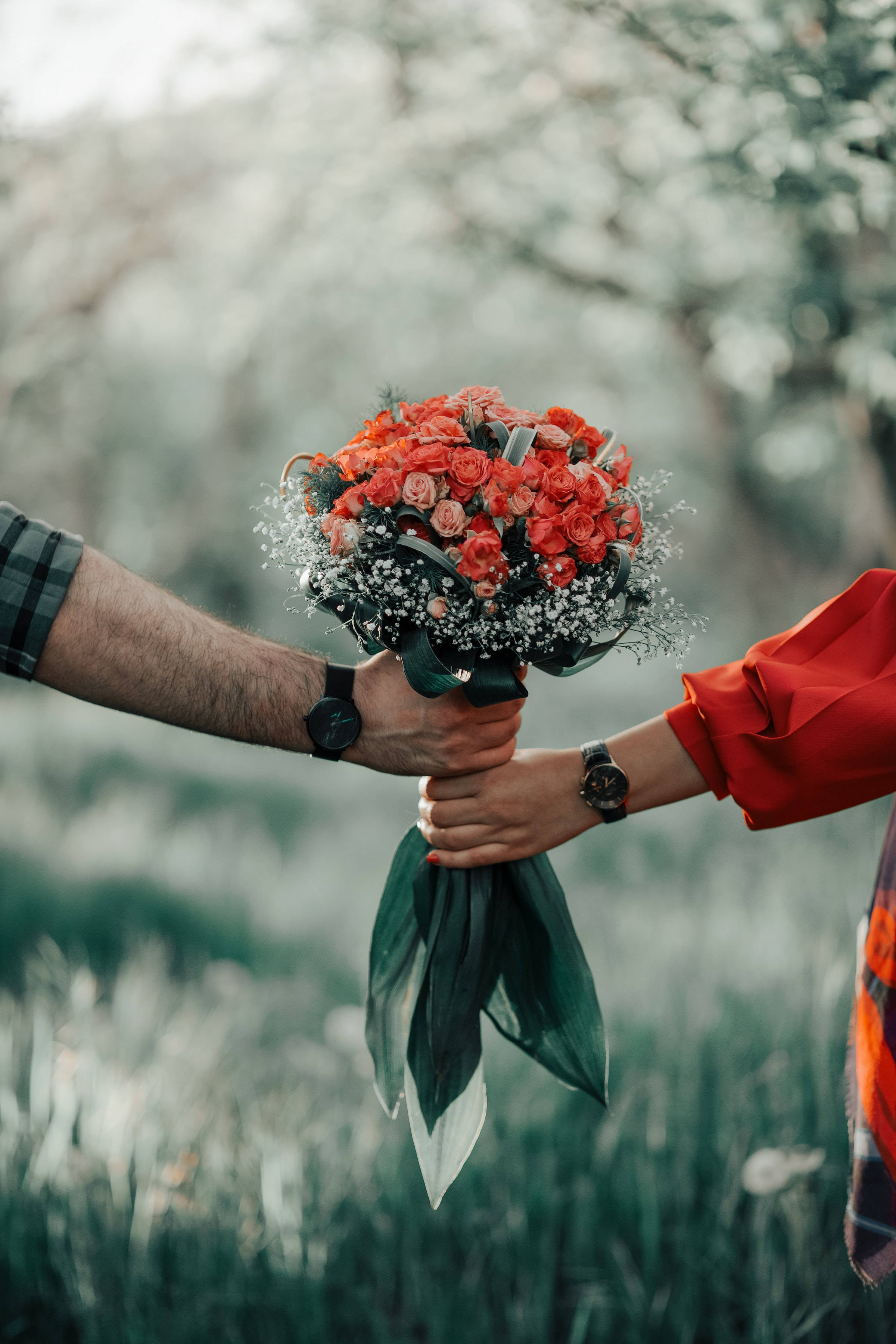 romantic red and orange roses flower bouquet, vibrant red rose bouquet, soft blurred outdoor field, 2K Phone Wallpaper