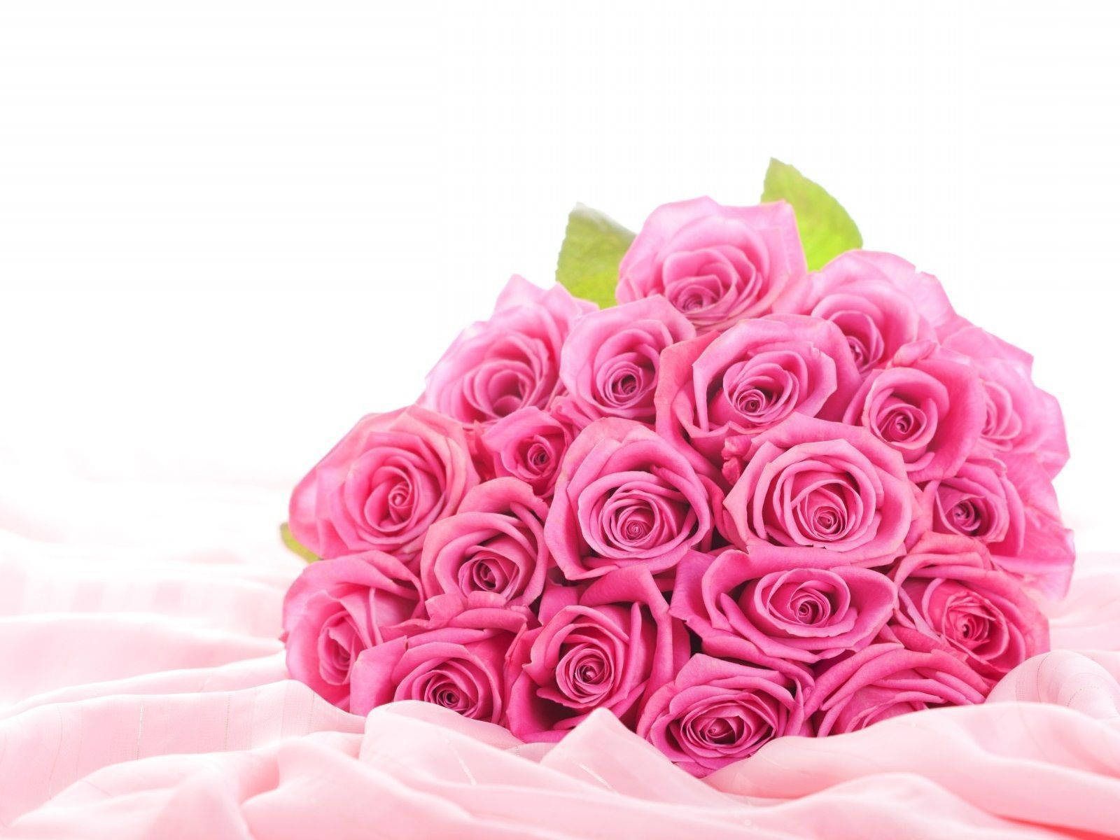 vivid pink roses, lush bouquet, soft pink fabric, HD Desktop Wallpaper