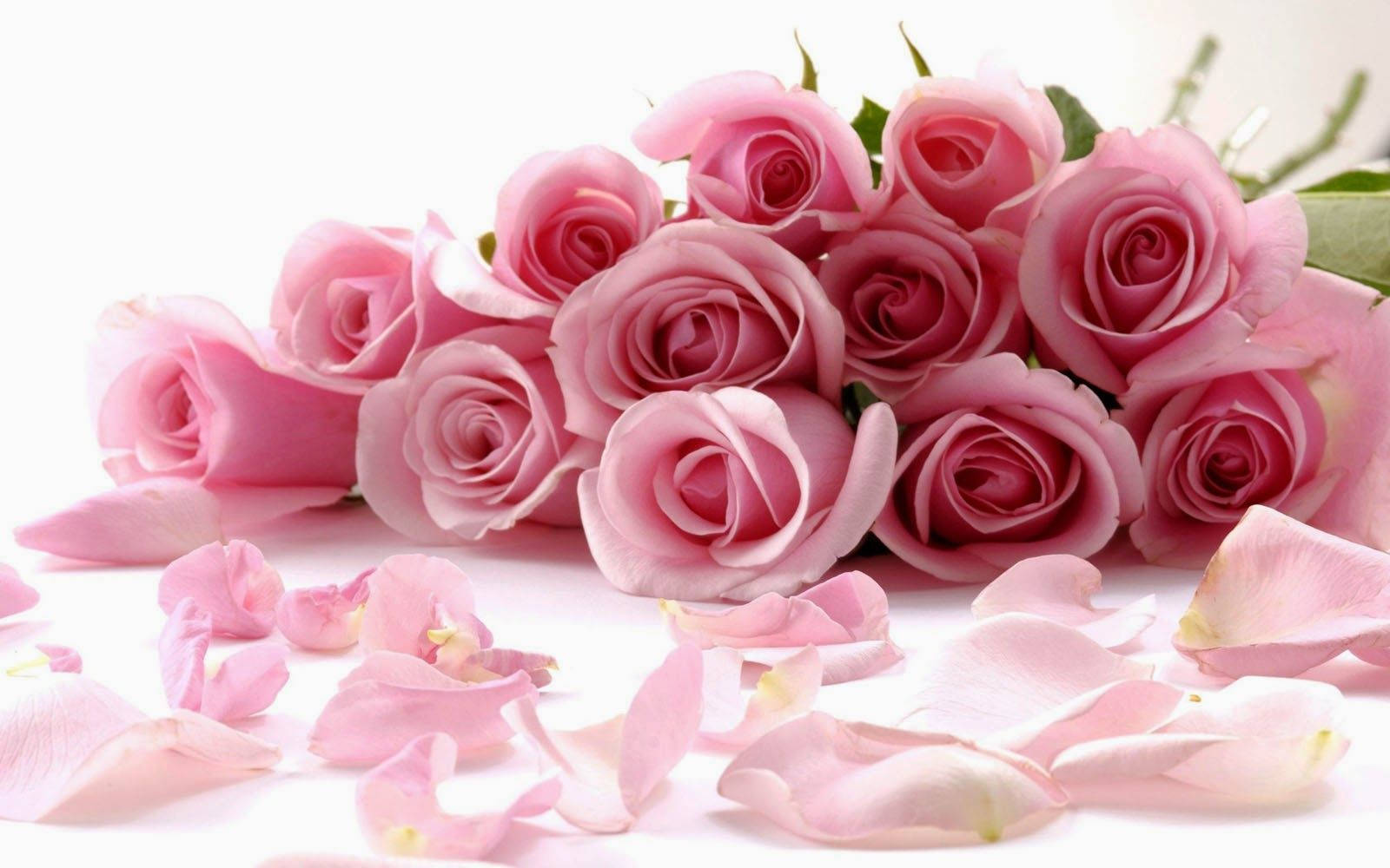bouquet scattered petals, pink roses, scattered petals, HD Desktop Wallpaper