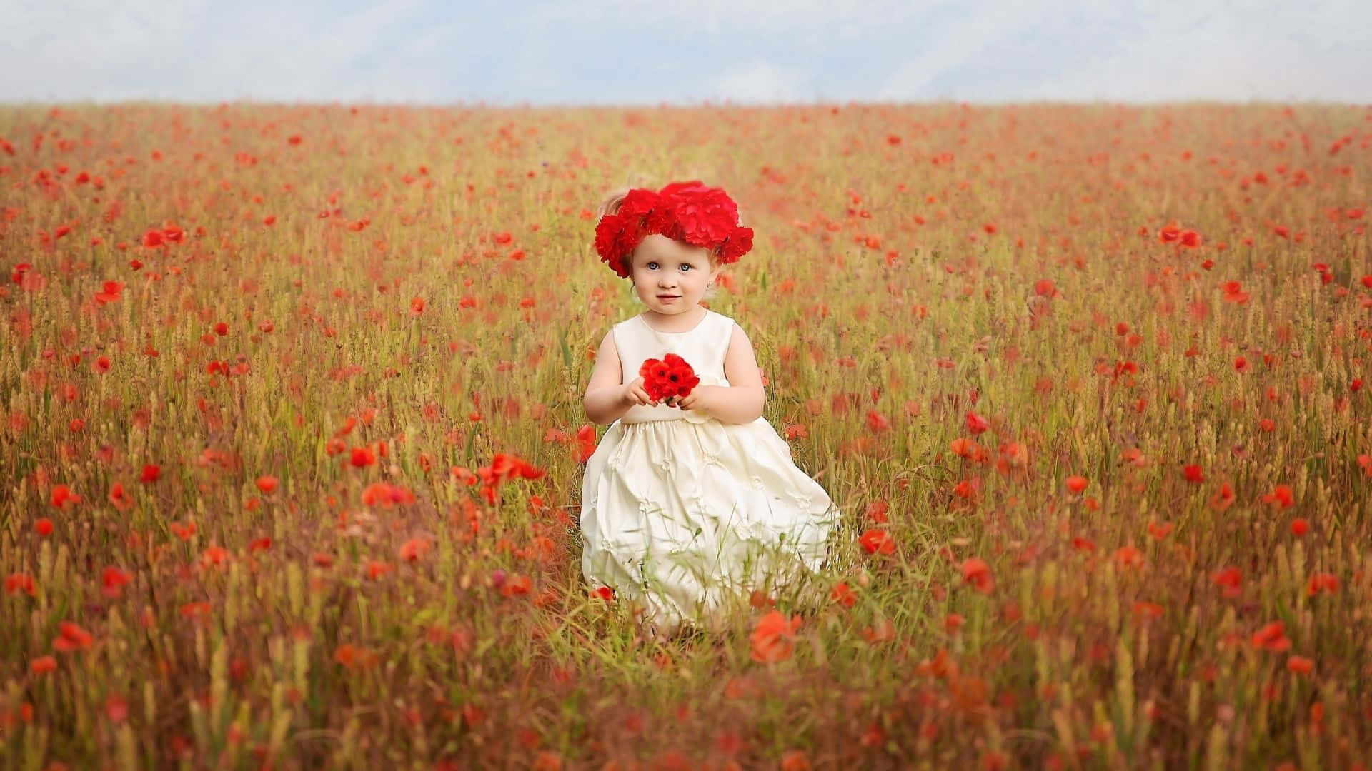 toddler, white dress, red flower crown, Full HD Desktop Wallpaper