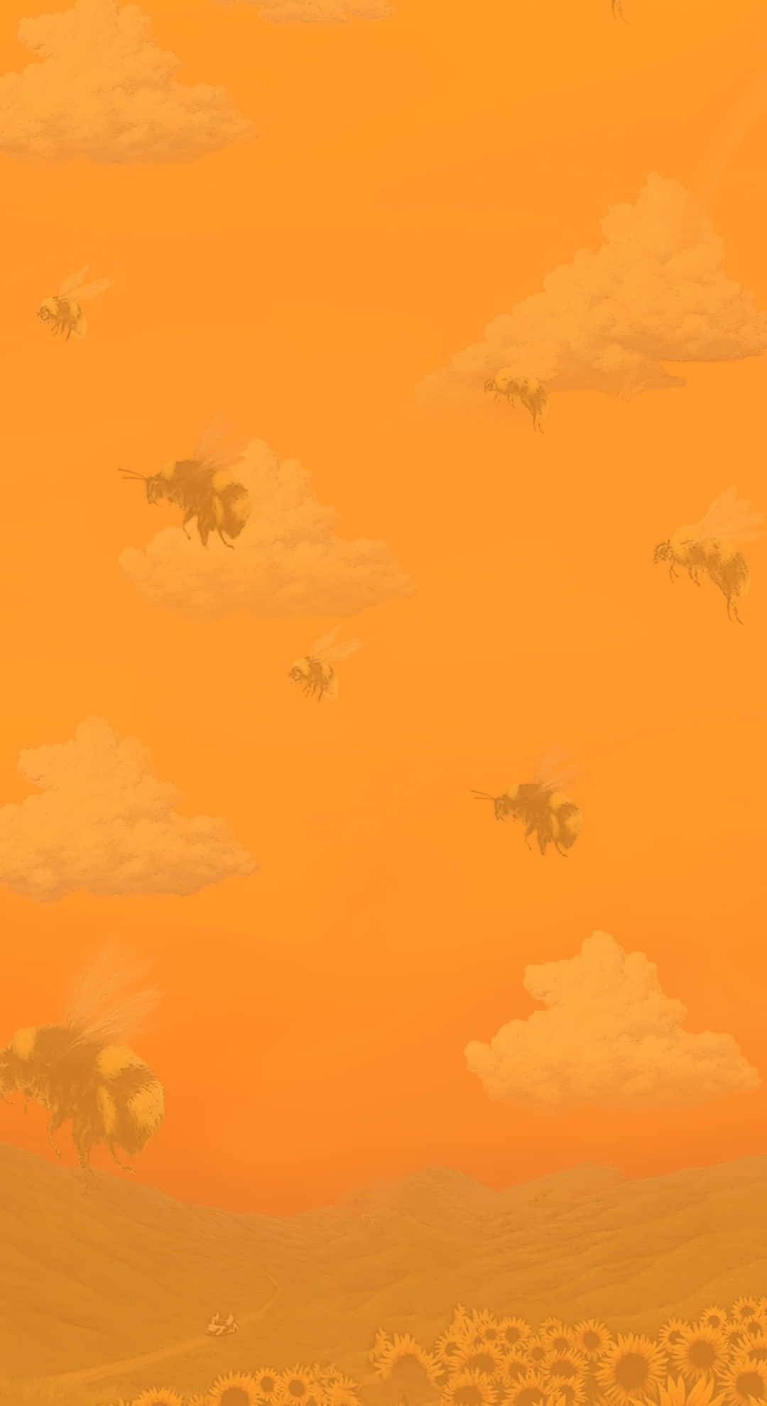 Flower Boy, album art, warm orange sky, Full HD Phone Wallpaper
