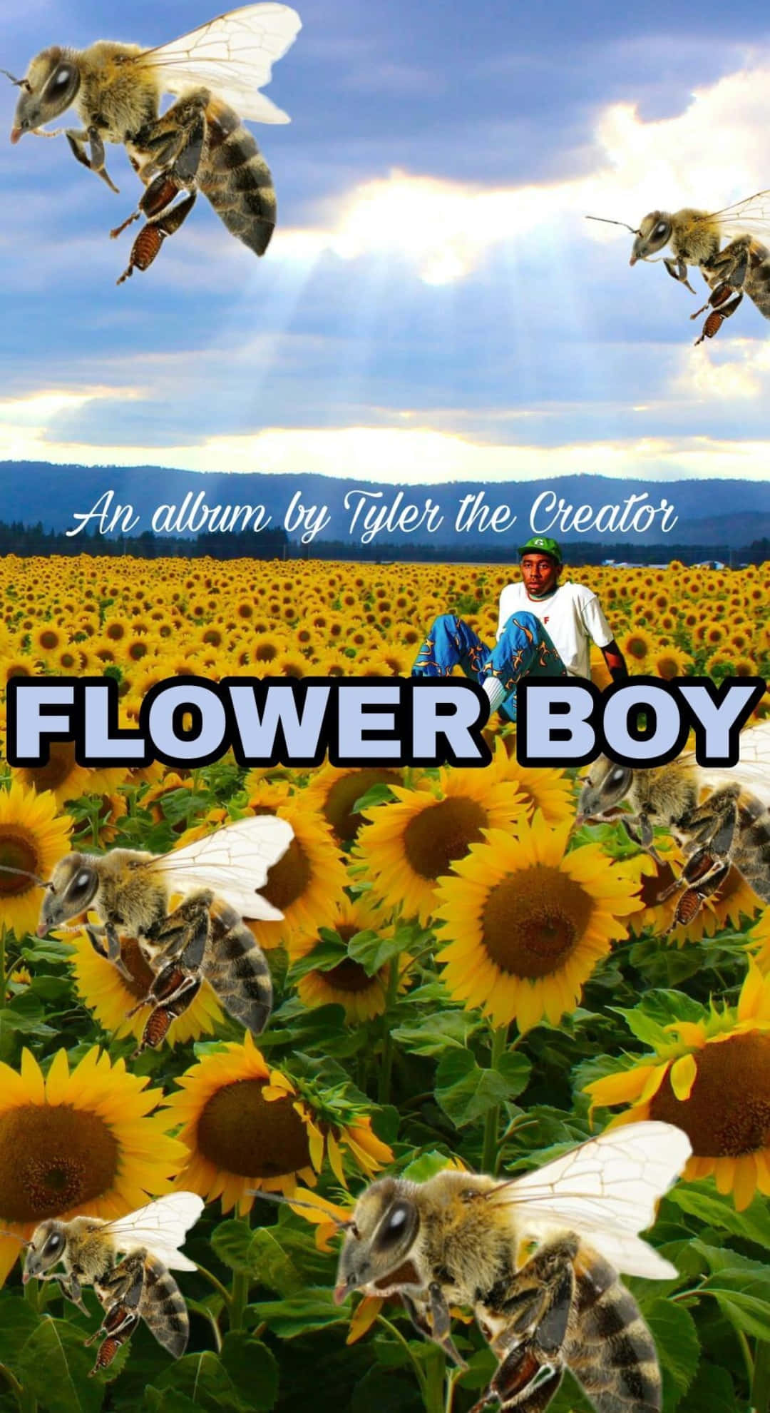 Flower Boy, sunflower field, bees, Full HD Phone Wallpaper