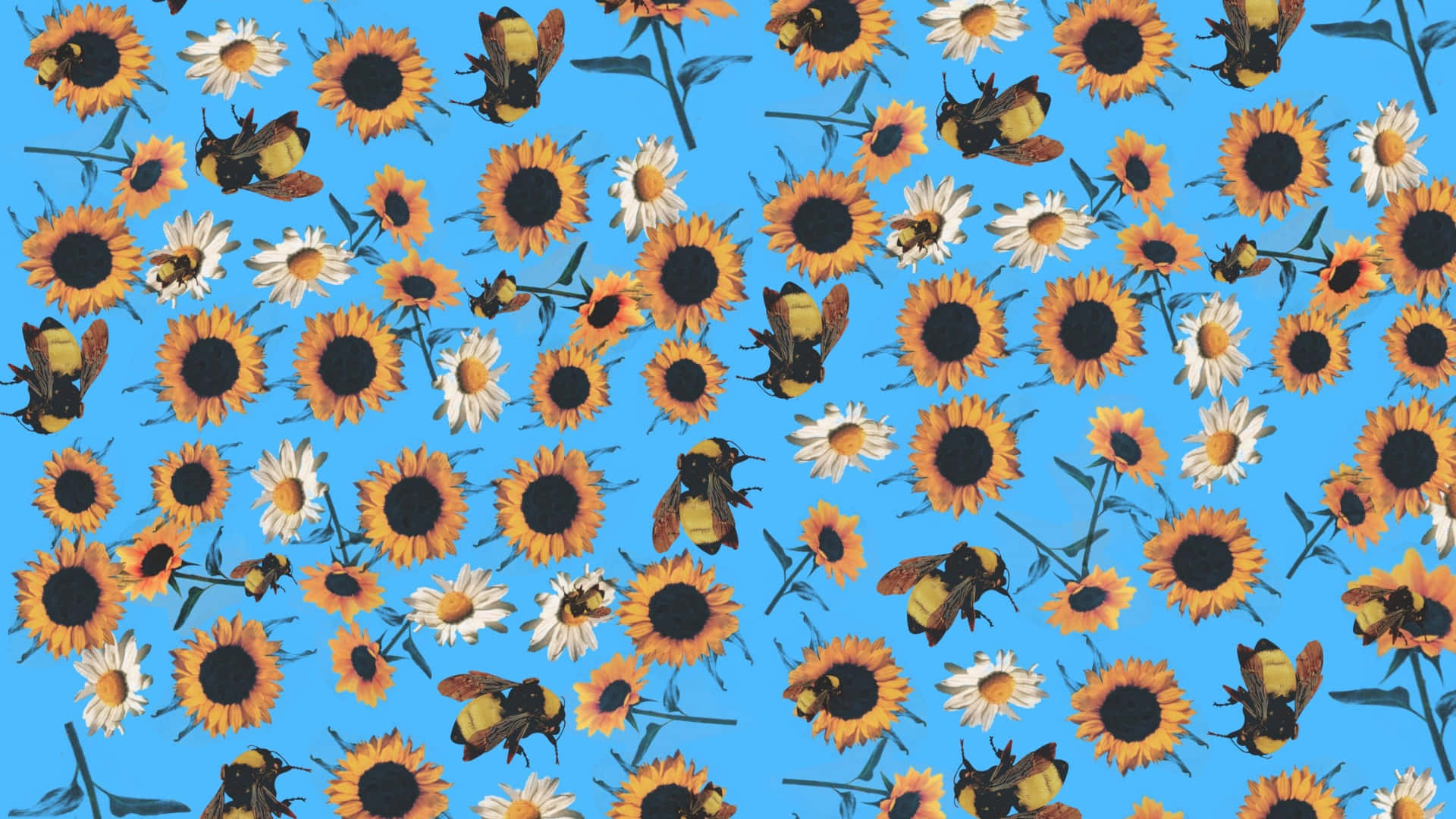 Flower Boy Pattern, sunflowers, daisies, Full HD Desktop Wallpaper