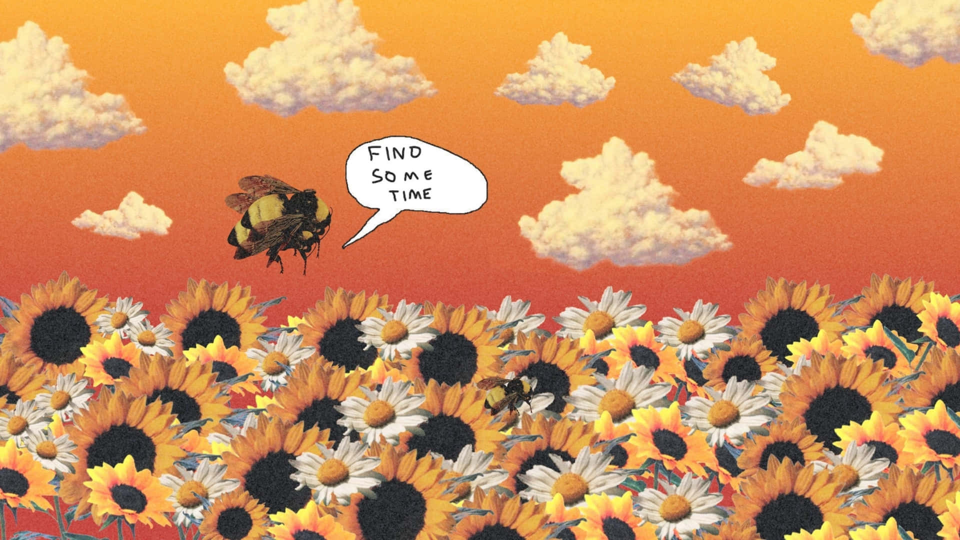 Flower Boy, bee, field of sunflowers and daisies, Full HD Desktop Wallpaper