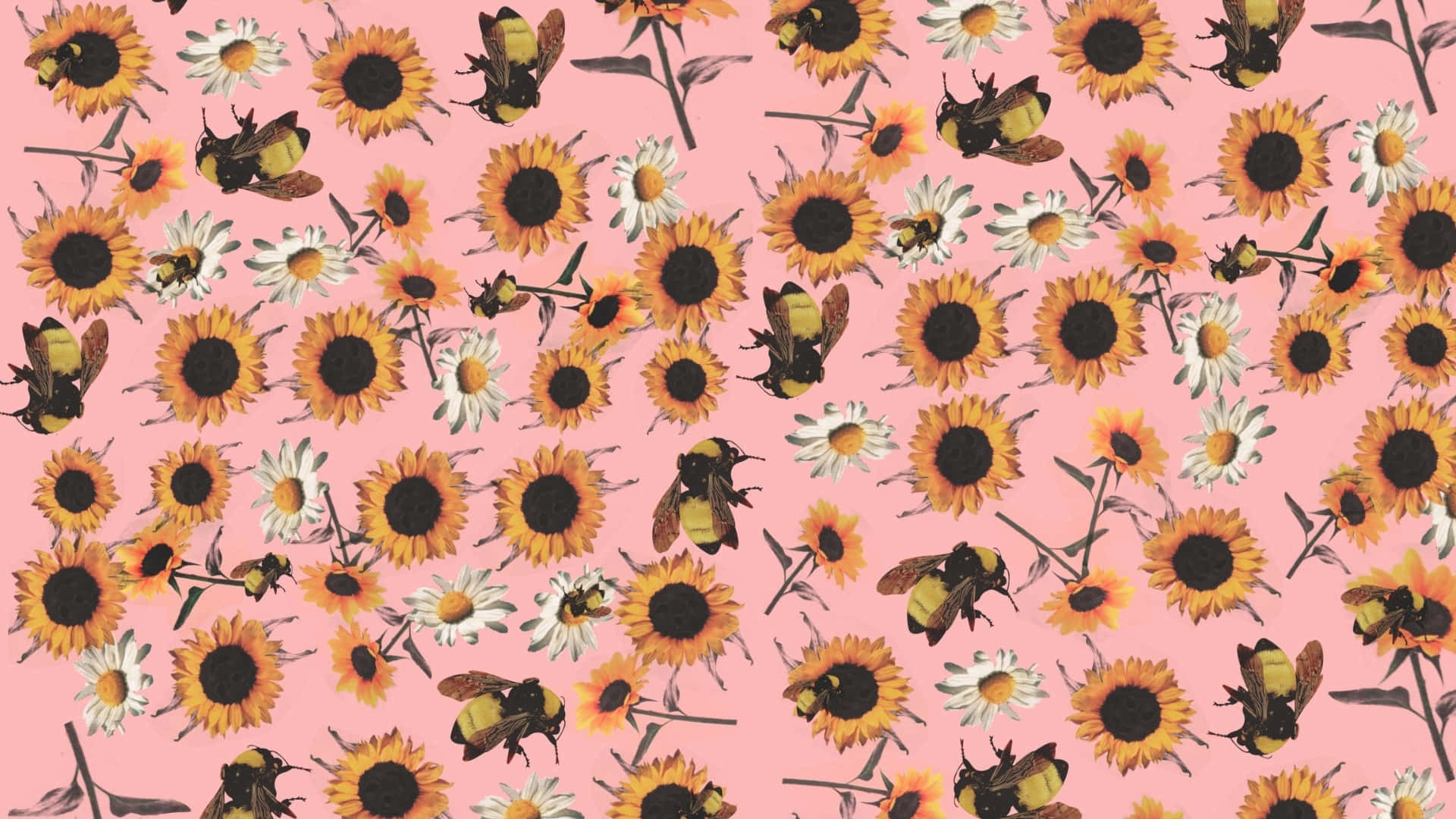 Flower Boy, sunflower pattern, pink background, Full HD Desktop Wallpaper