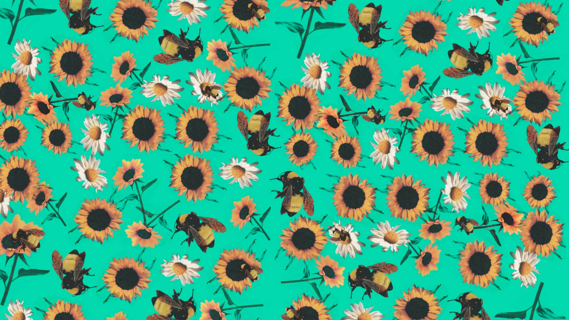 sunflower, daisies, bumblebees, Full HD Desktop Wallpaper