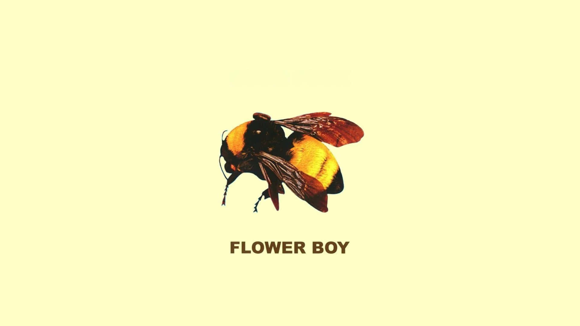 Flower Boy, bumblebee, yellow and black stripes, Full HD Desktop Wallpaper