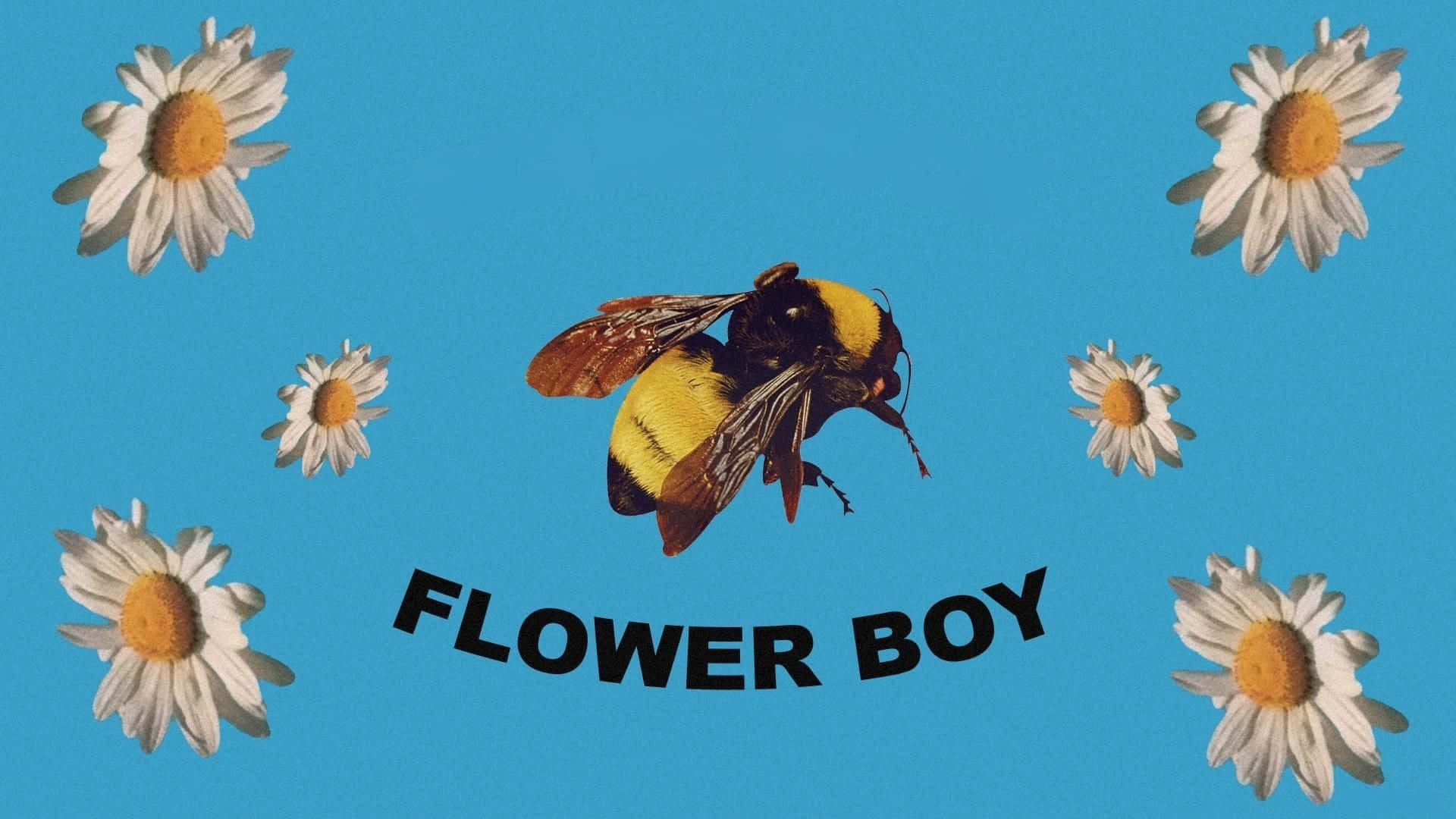Flower Boy, bumblebee, vivid blue, Full HD Desktop Wallpaper