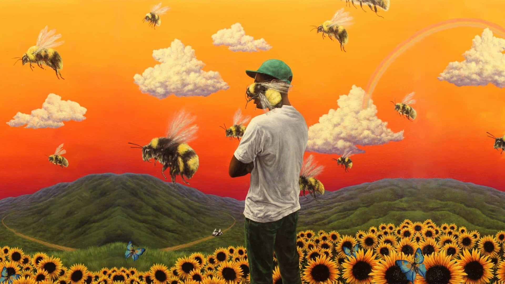 Flower Boy, green cap, sunflower field, Full HD Desktop Wallpaper