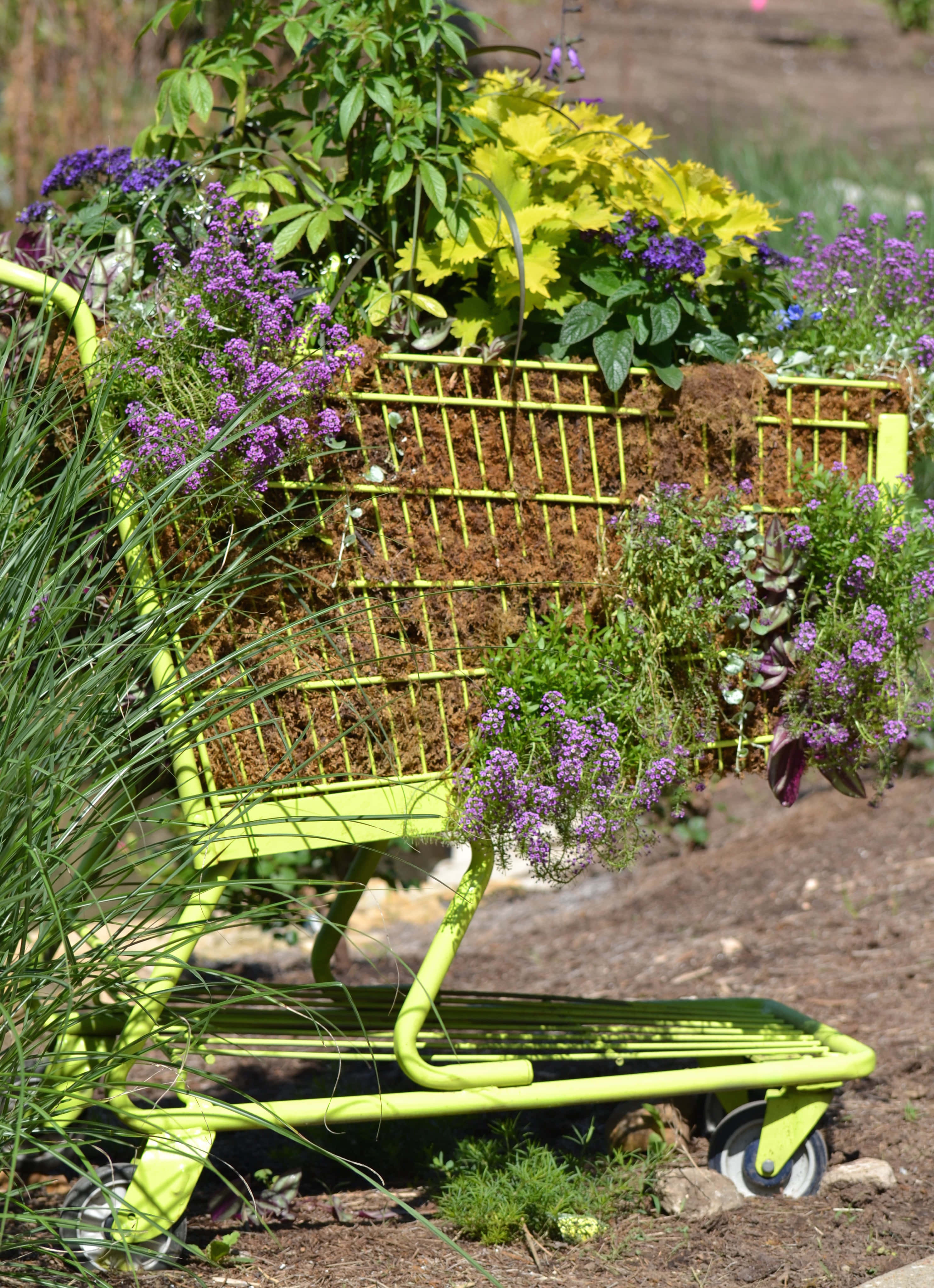 flower cart, lime-green shopping cart, purple flowers, 4K Phone Wallpaper