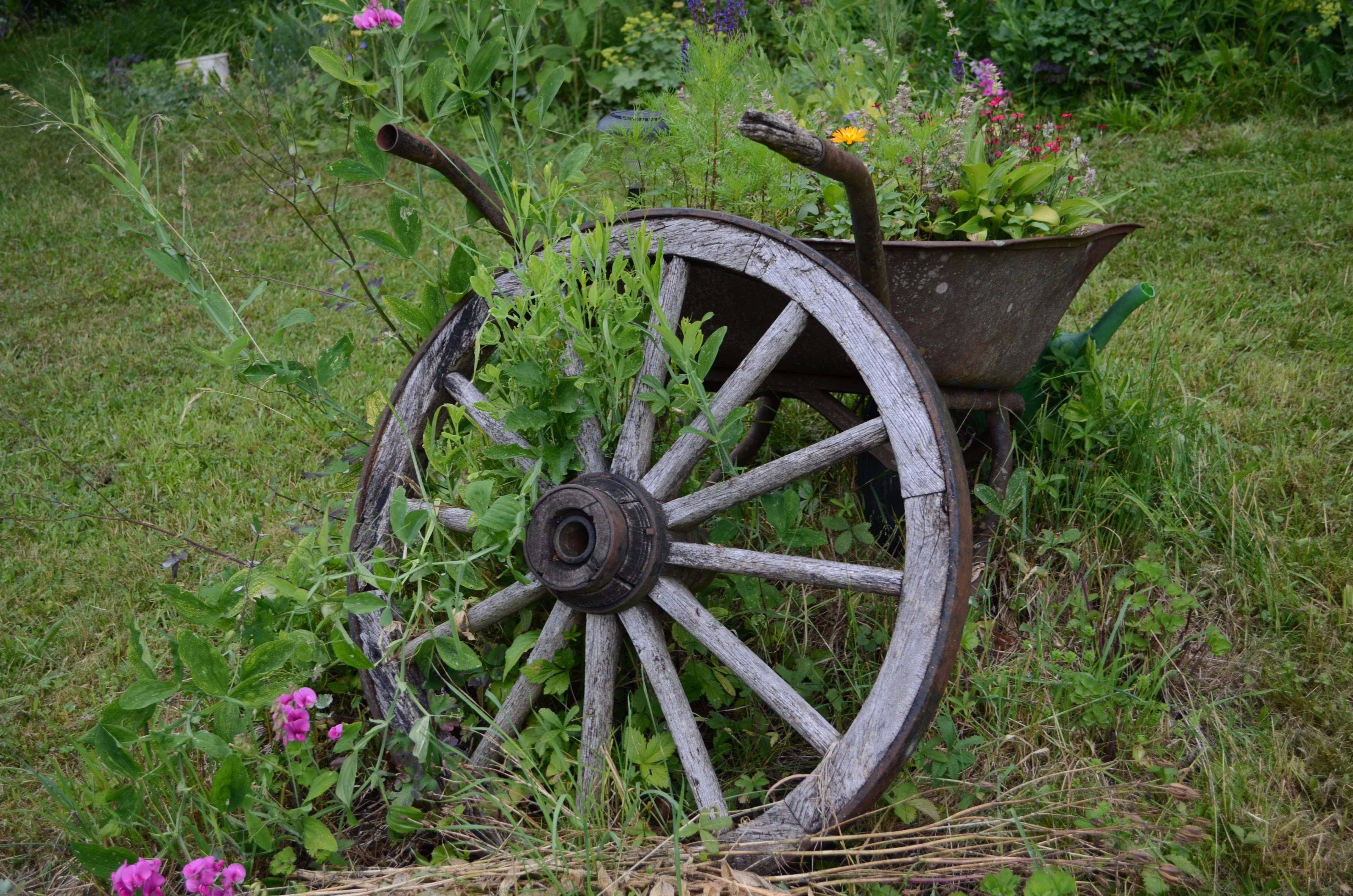 flower cart, old wooden wagon wheel, rusty wheelbarrow, 4K Desktop Wallpaper
