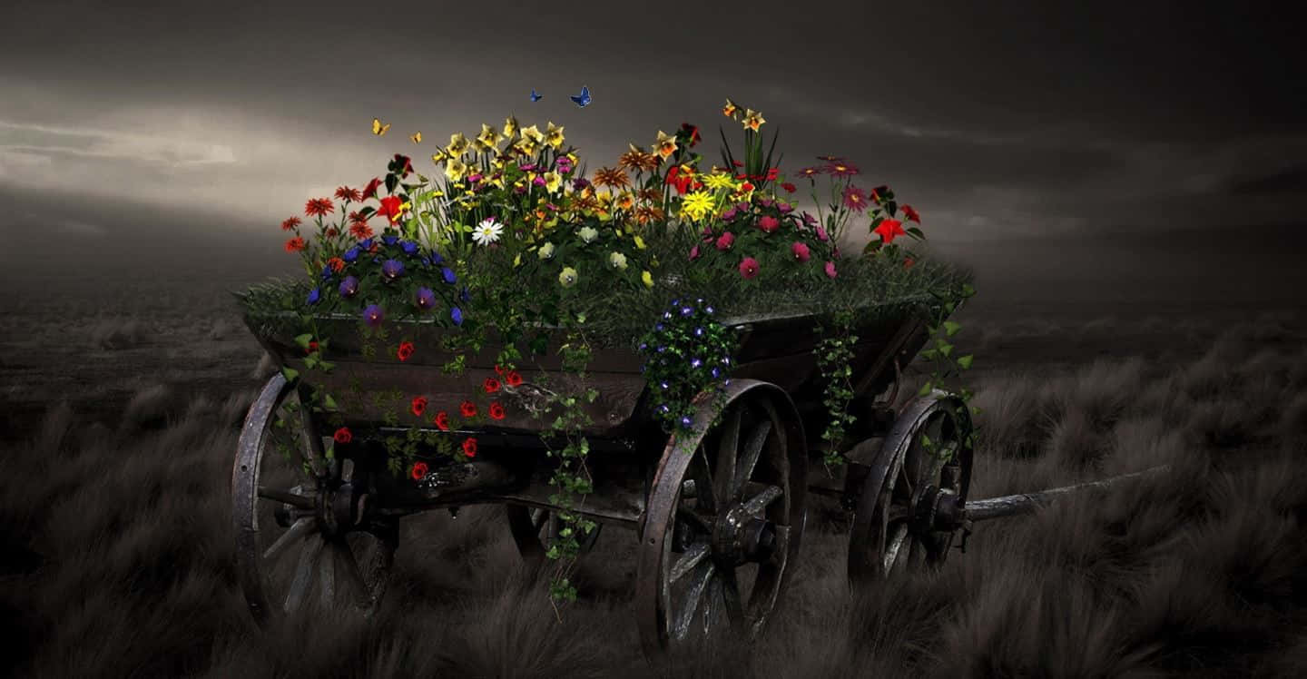 flower cart, weathered wooden cart, vibrant wildflowers, HD Desktop Wallpaper