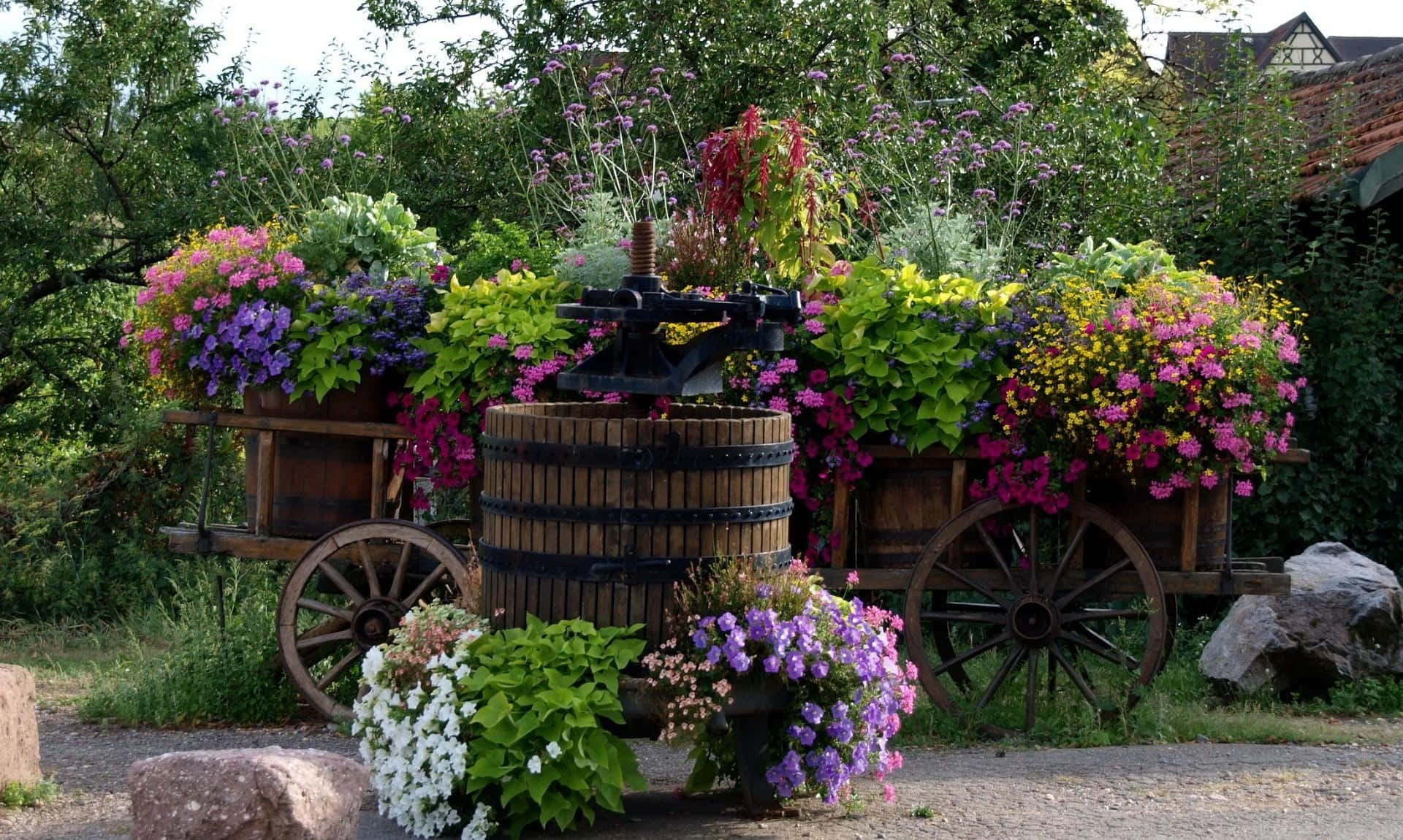 flower cart, rustic wooden cart, vibrant purple pink and yellow flowers, Full HD Desktop Wallpaper