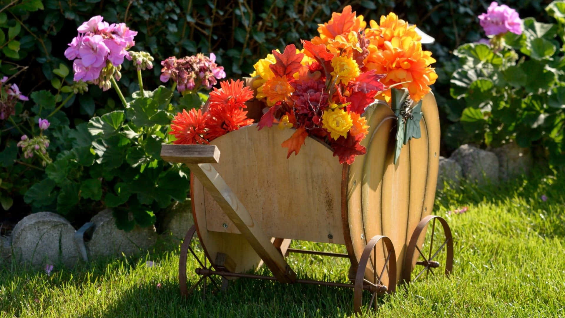 flower cart, pumpkin-shaped cart, orange red flowers, Full HD Desktop Wallpaper