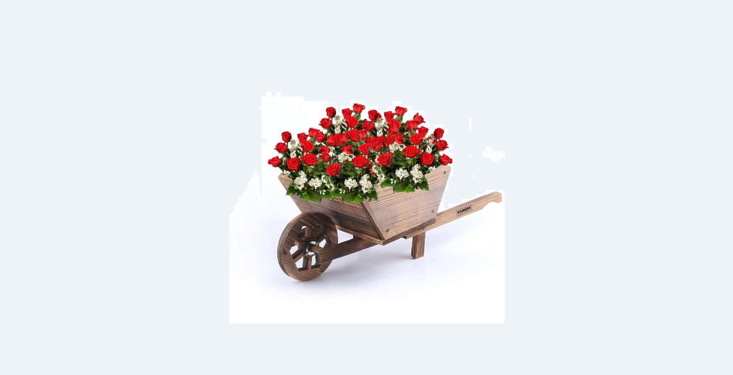 flower cart, wooden wheelbarrow, vibrant red roses, HD Desktop Wallpaper