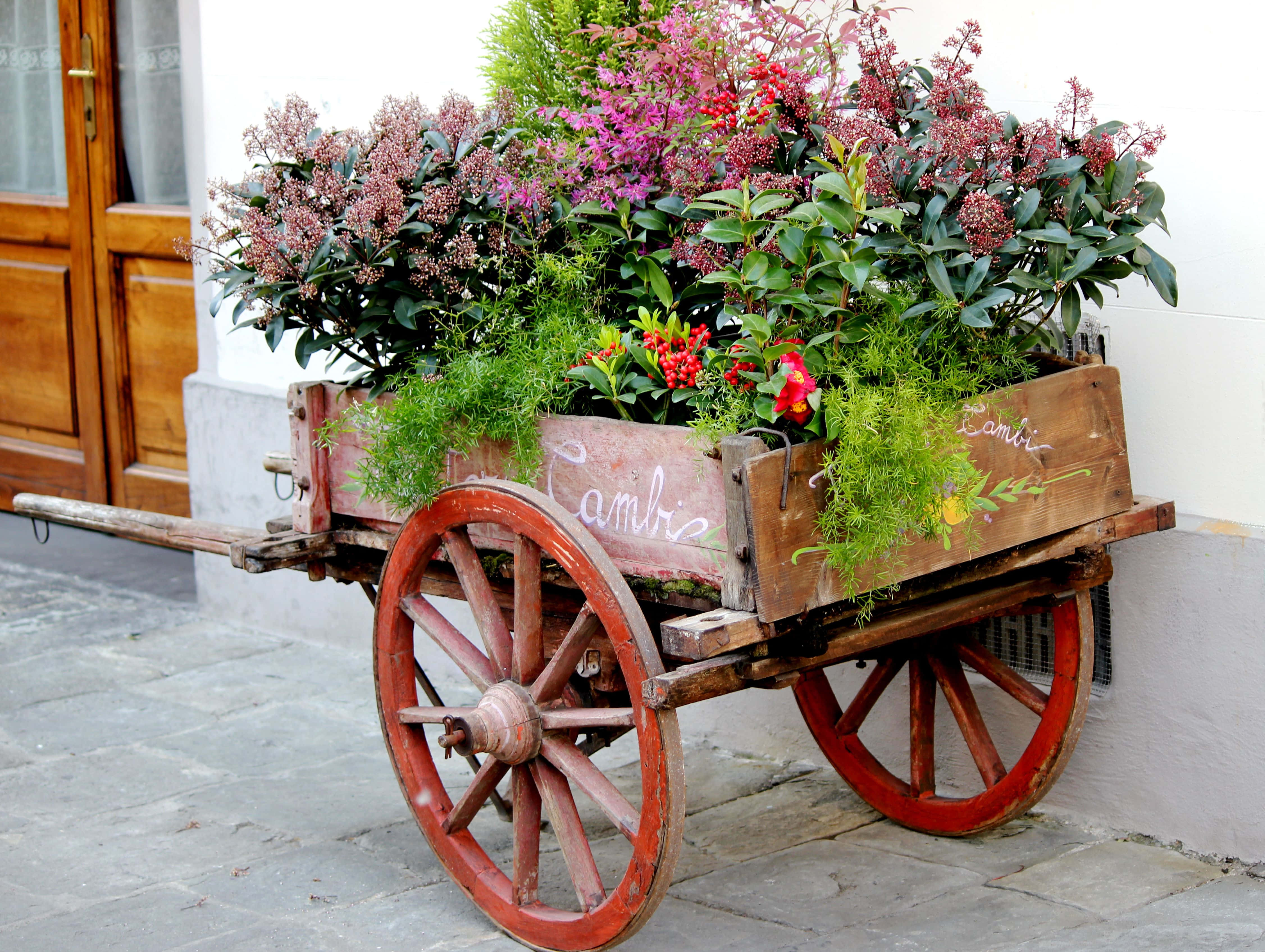 flower cart, red wheels, vibrant pink purple and red flowers, 4K Desktop Wallpaper