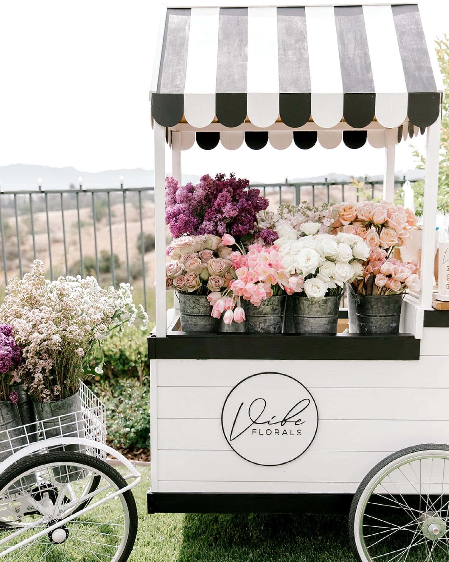 flower cart, white floral cart, black and white striped awning, HD Phone Wallpaper