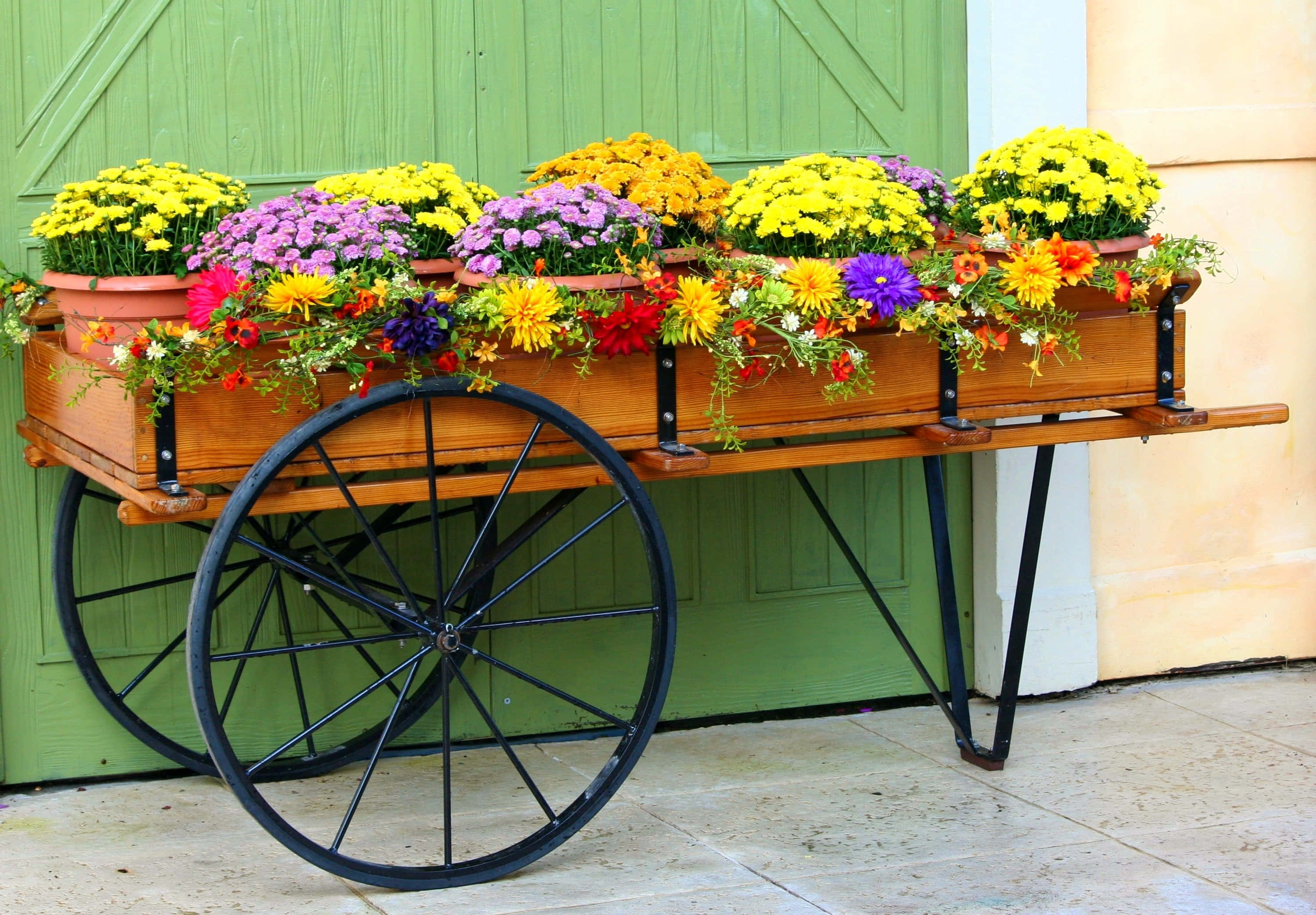 Flower Cart, rustic wooden wagon, vibrant yellow purple and red flowers, 2K Desktop Wallpaper