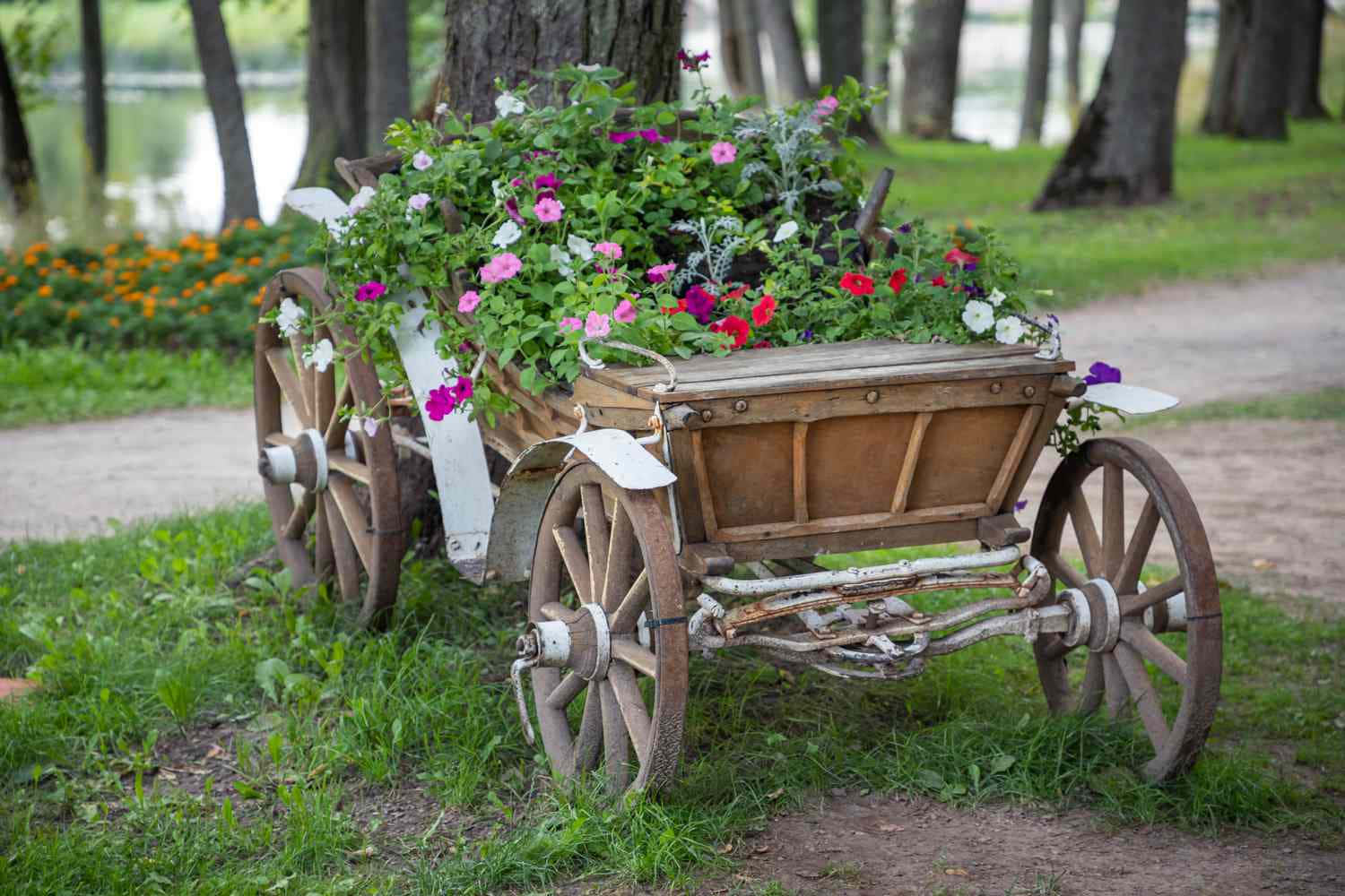 flower cart, vintage flower cart, wooden cart, HD Desktop Wallpaper