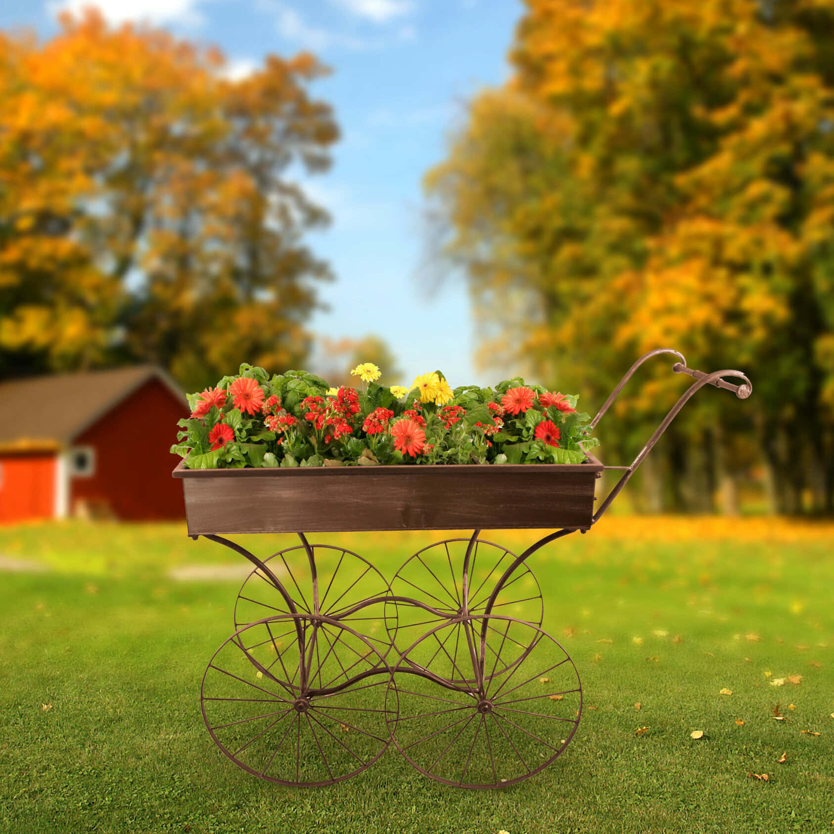 flower cart, vintage metal baby carriage planter, red and yellow flowers, HD Desktop Wallpaper