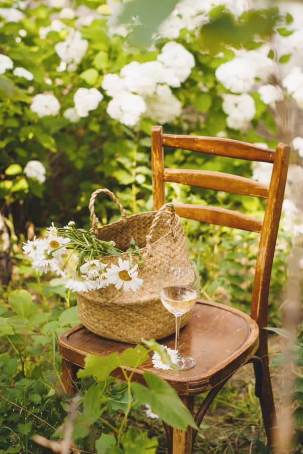 rustic wooden chair, sunlit garden, woven basket of daisies, SD Phone Wallpaper