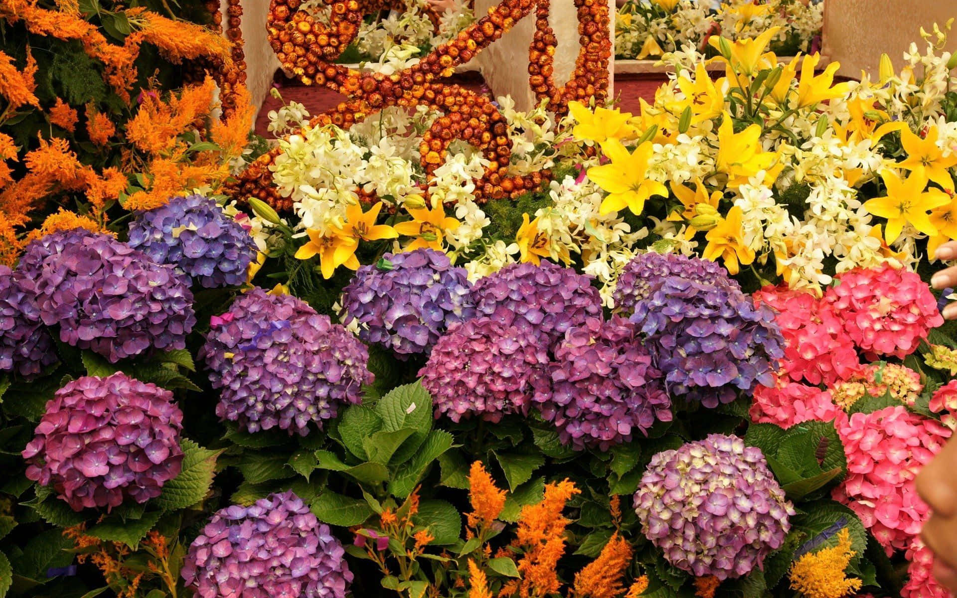 flower shop, purple, pink, Full HD Desktop Wallpaper