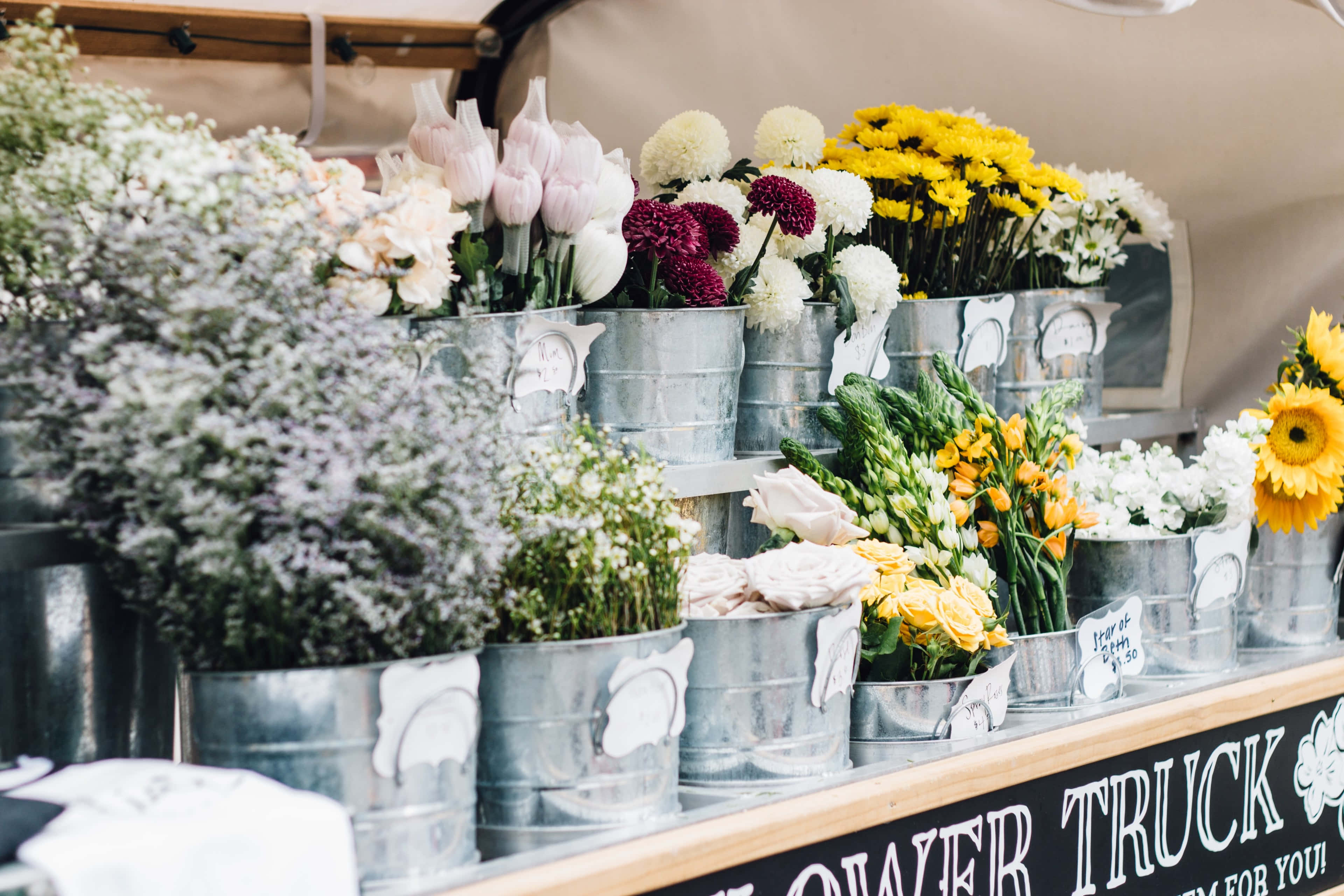 flower truck, galvanized buckets, pink tulips, 4K Desktop Wallpaper