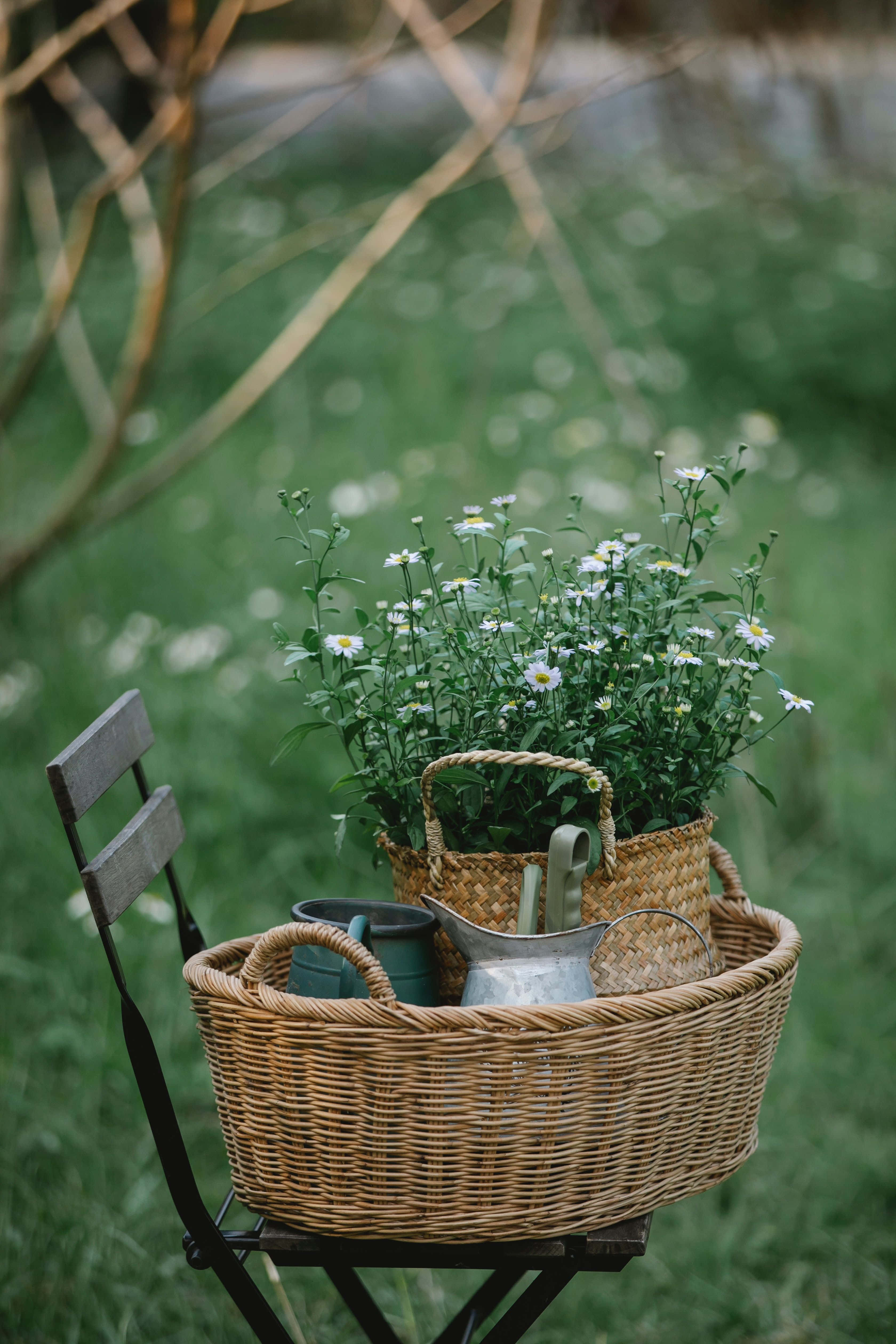 wicker basket, daisies, gardening tools, 4K Phone Wallpaper