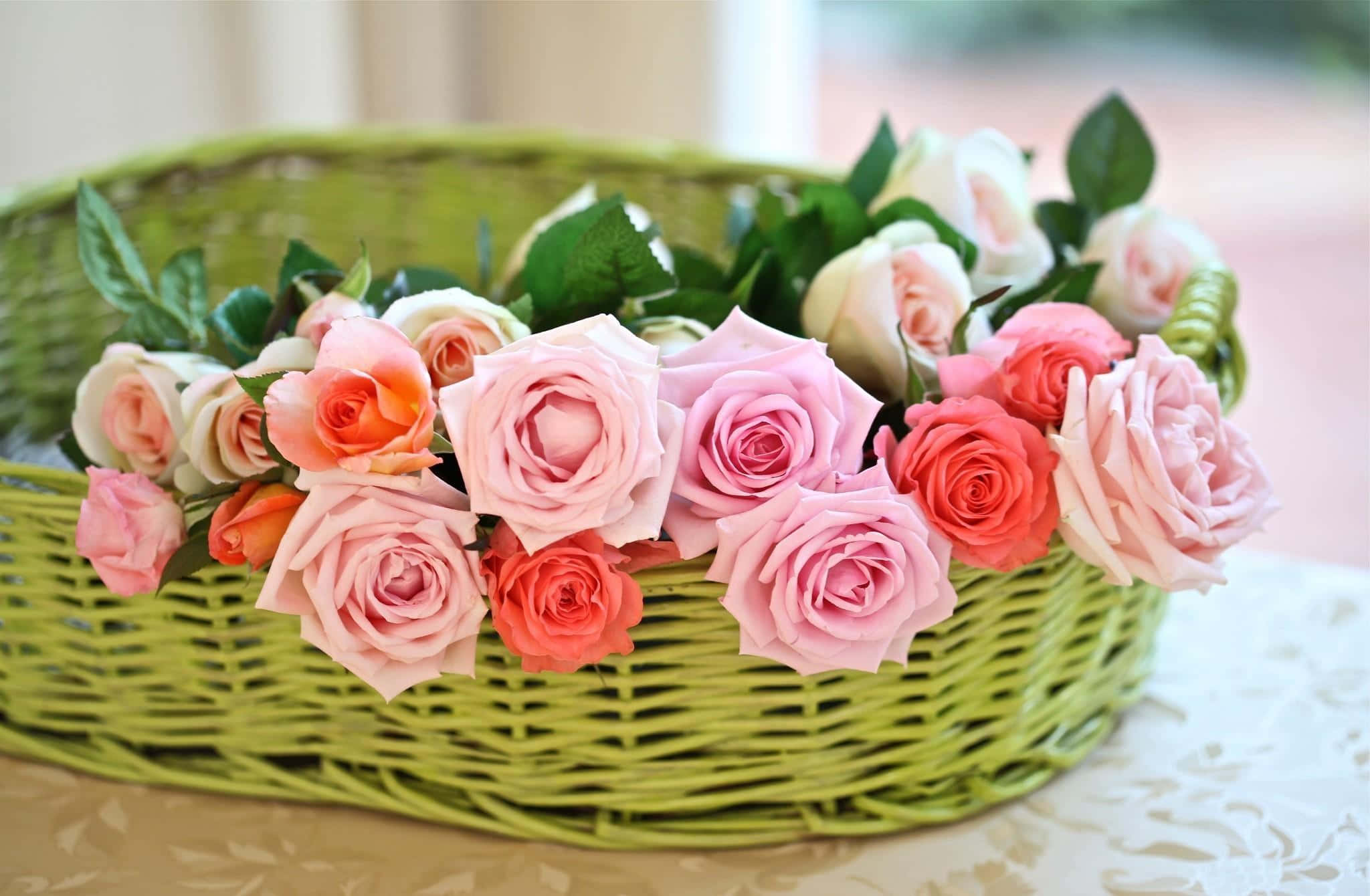 pastel roses, green basket, lace tablecloth, Full HD Desktop Wallpaper