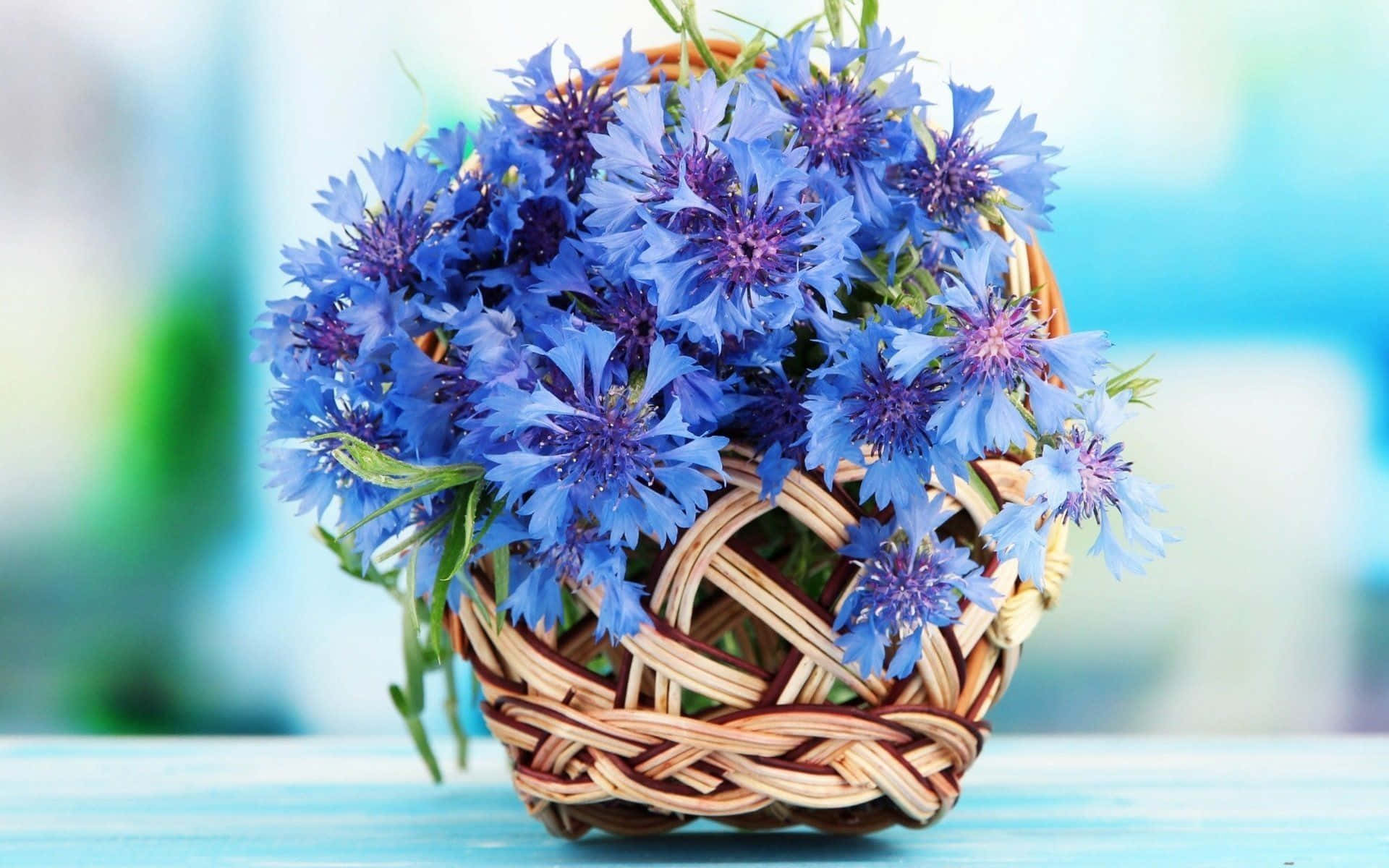 blue cornflowers, wicker basket, light blue wooden surface, Full HD Desktop Wallpaper