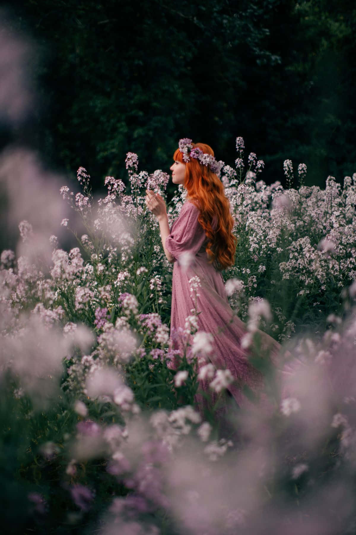 flower crown, red hair, purple flowers, HD Phone Wallpaper