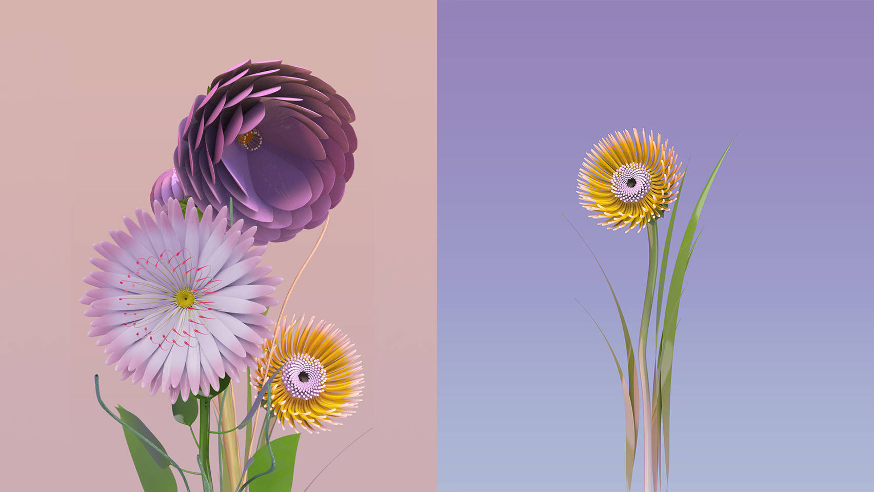 flower design, blossoming flowers, pastel pink, HD Desktop Wallpaper