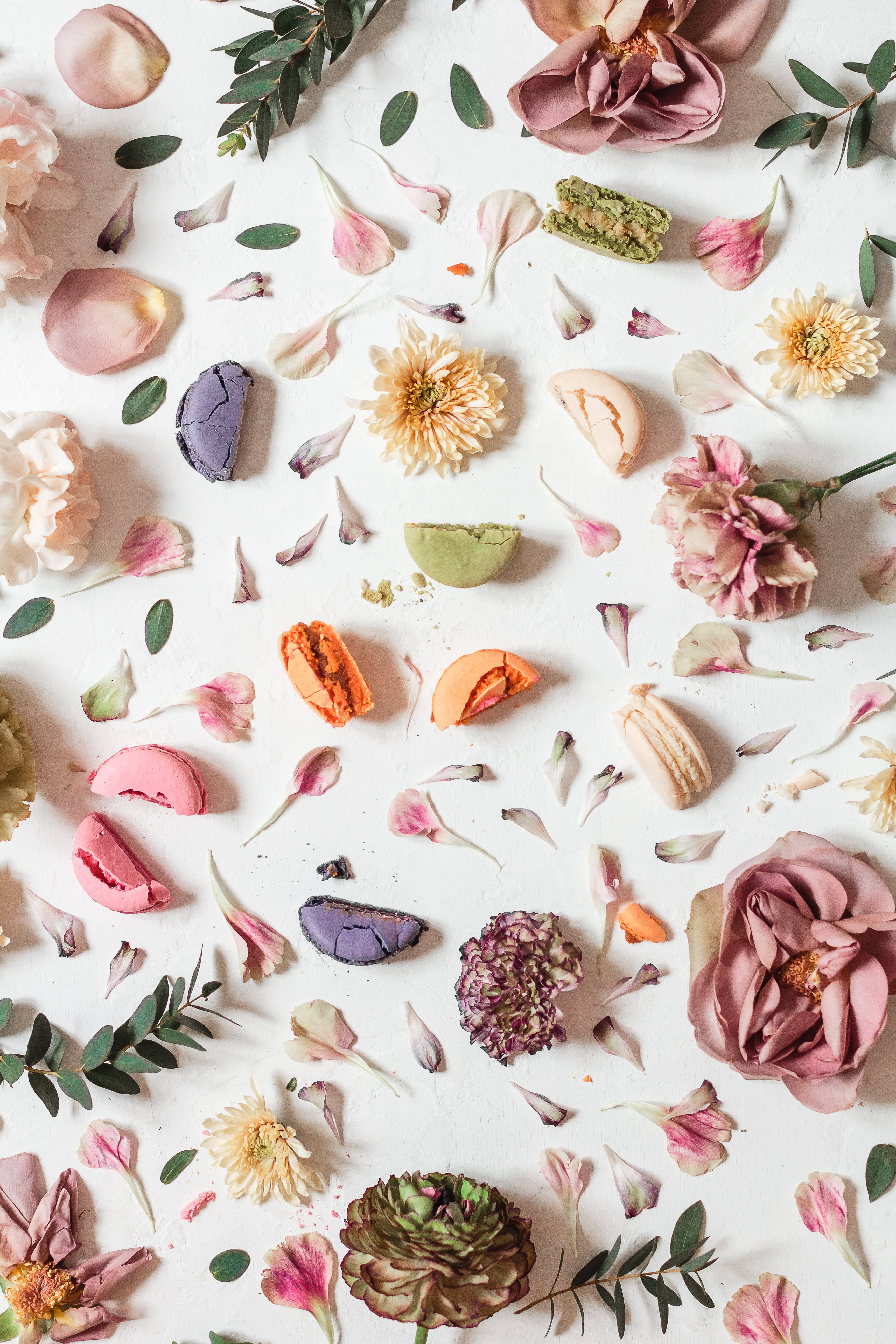 flower design, colorful dried petals, macarons, 5K Phone Wallpaper