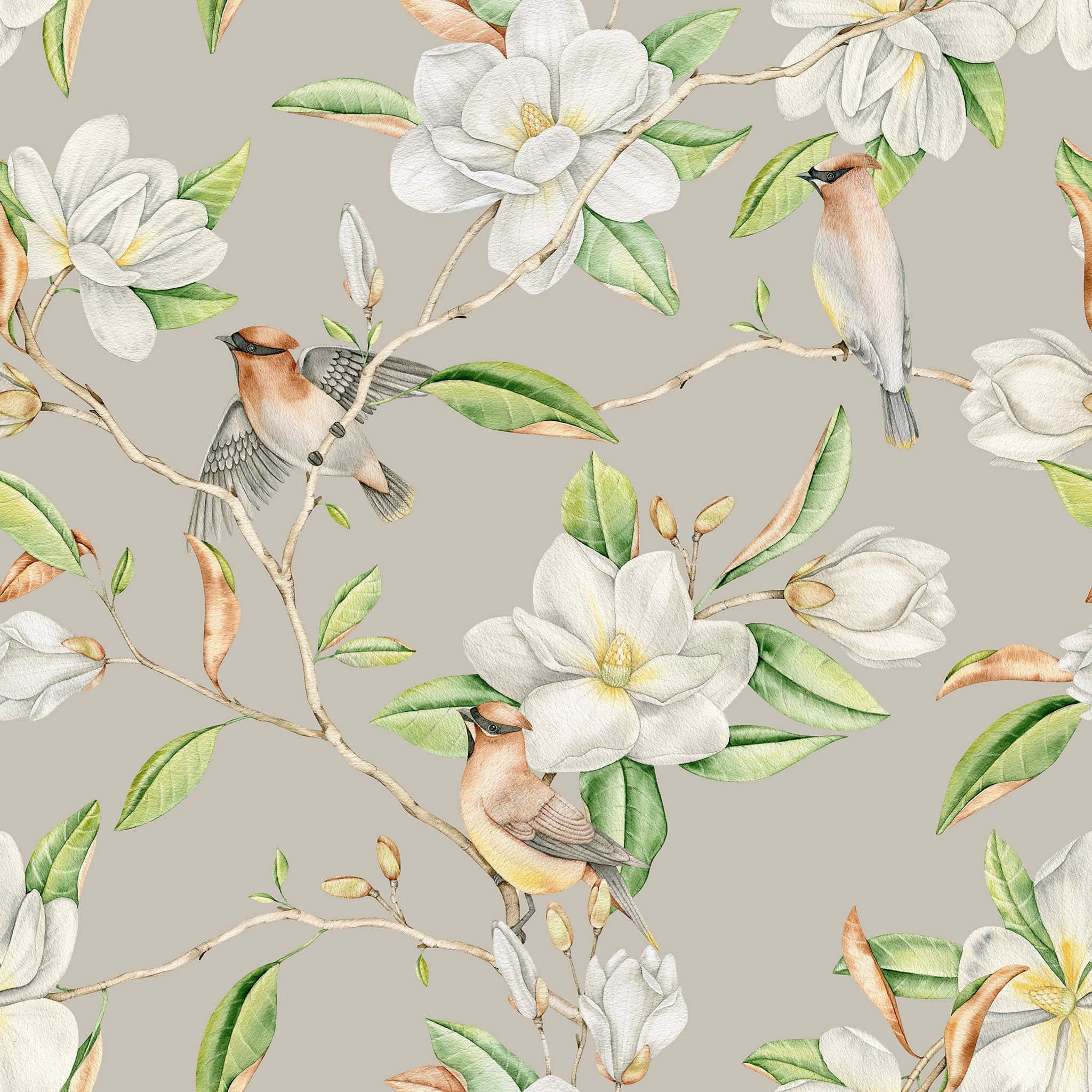 magnolia flower, watercolor illustration, white magnolia blossoms, Full HD Desktop Wallpaper