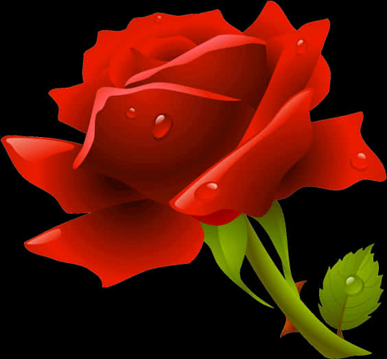 red rose, dew drops, stark black background, SD Desktop Wallpaper