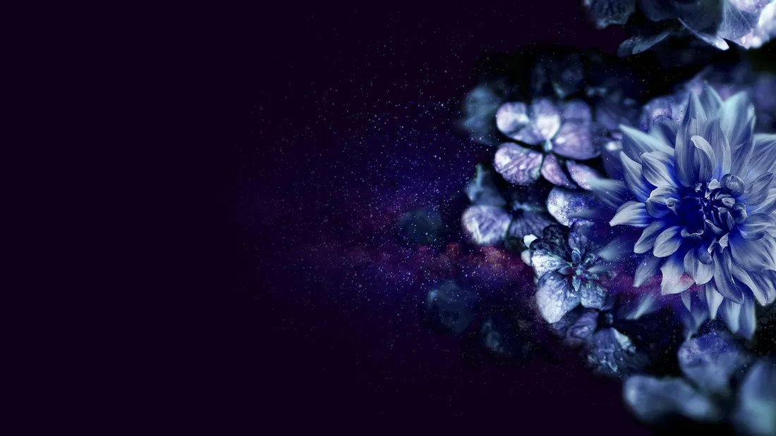 Flower Desktop