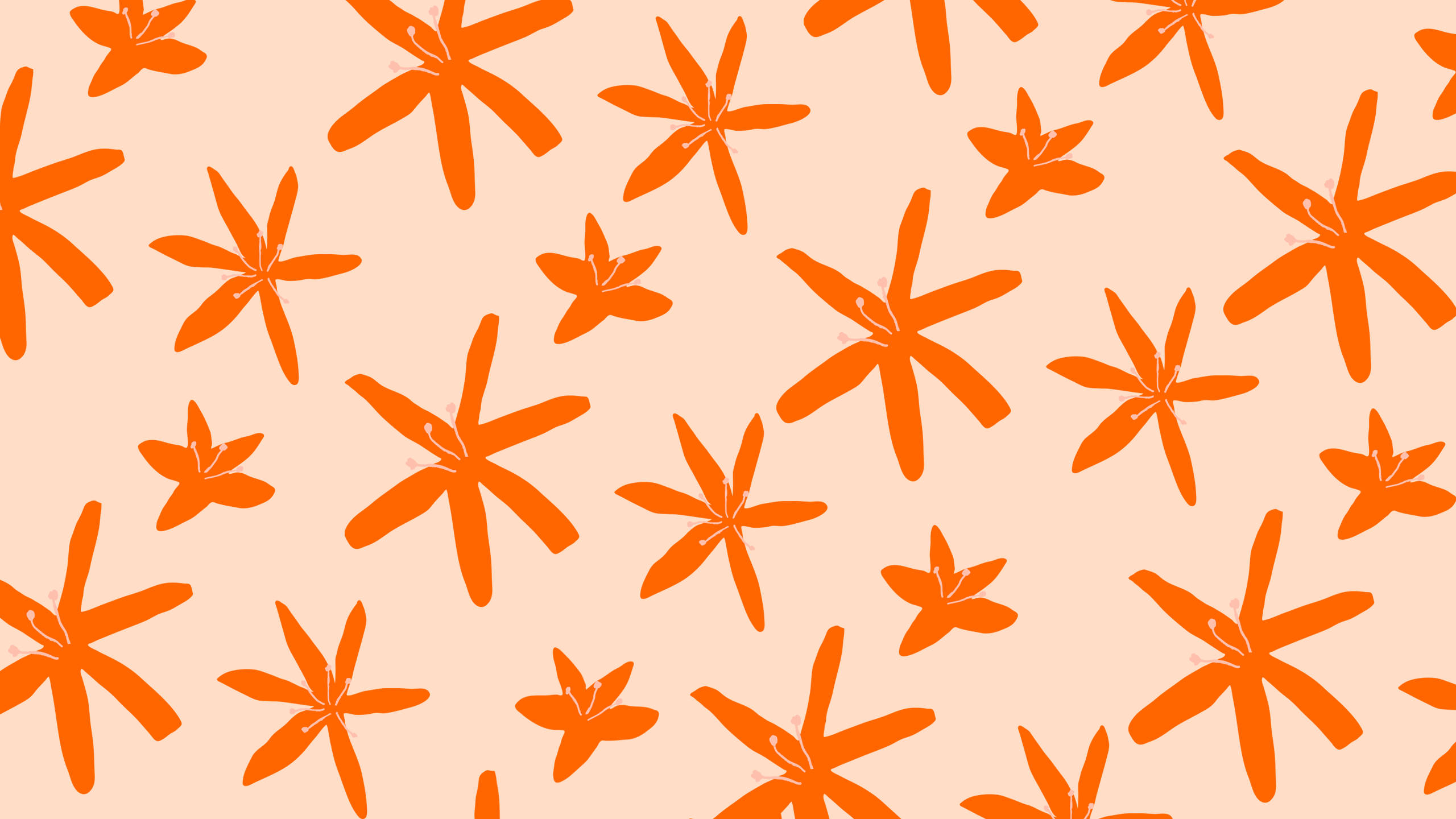 2560x1440, summer flower pattern, vibrant orange starburst shapes, 2K Desktop Wallpaper