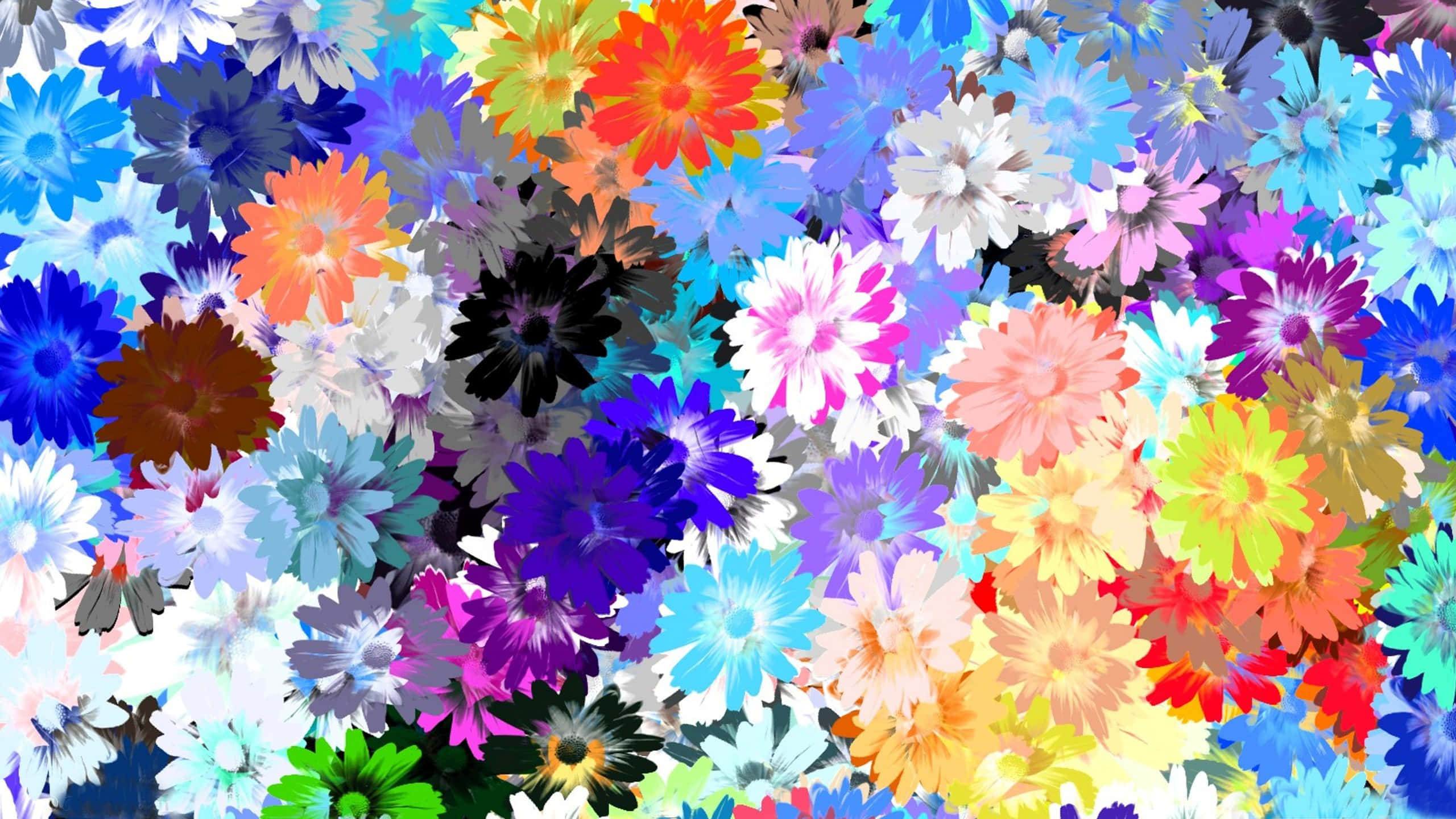 flower drawing, vibrant multicolored daisies, kaleidoscopic floral explosion, 2K Desktop Wallpaper
