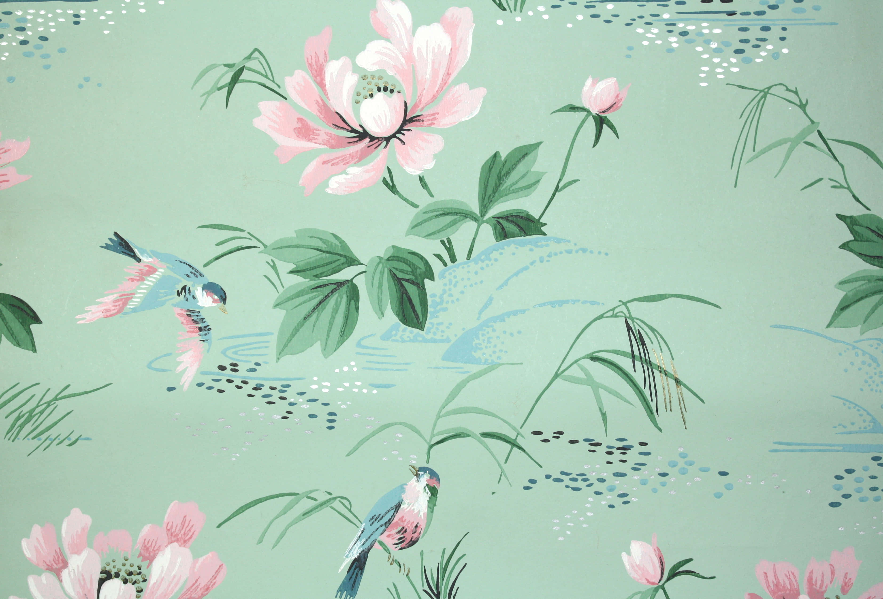 pink peonies, green leaves, blue birds, 2K Desktop Wallpaper