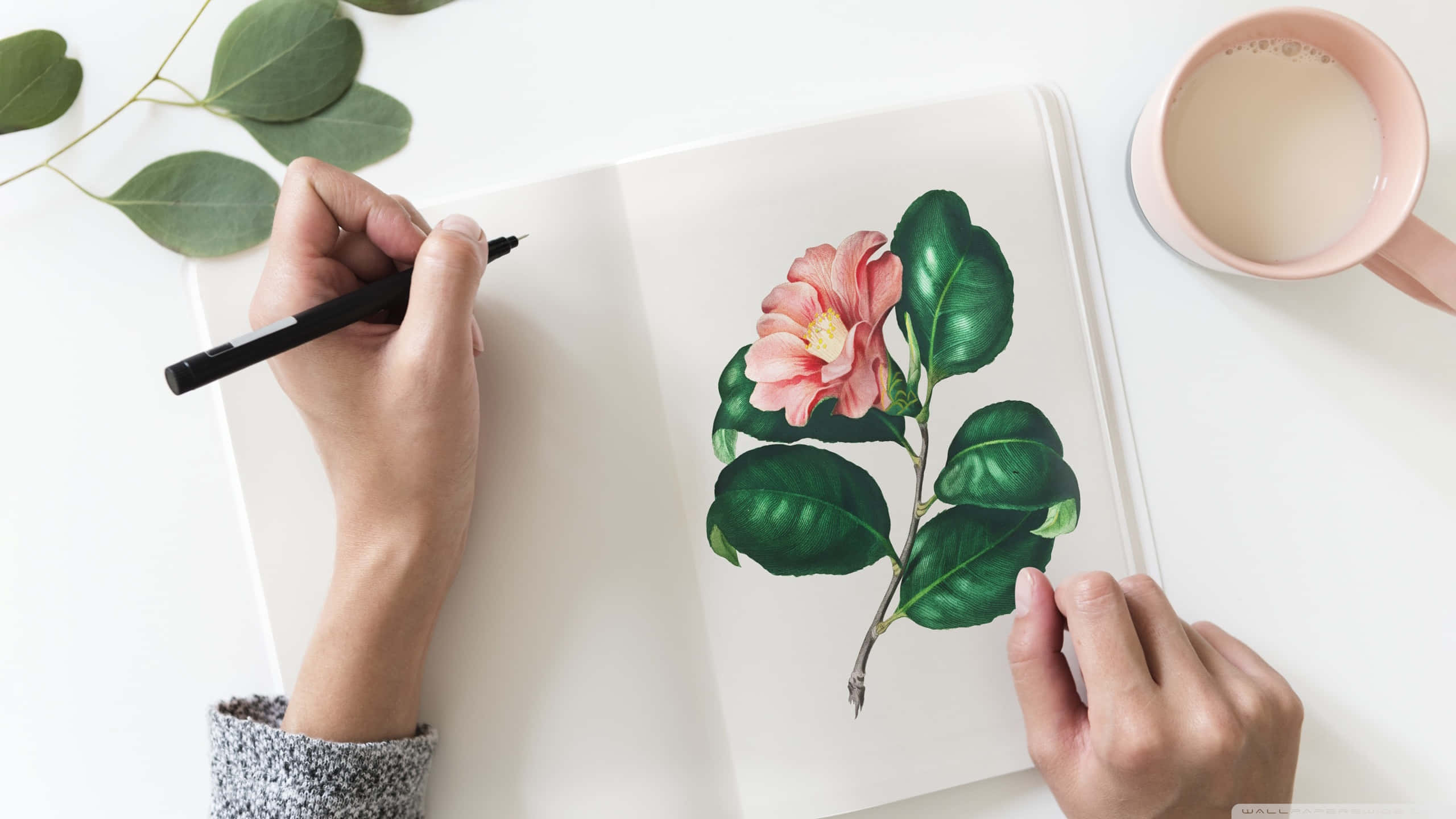 flower drawing, vibrant pink camellia, lush green leaves, 2K Desktop Wallpaper