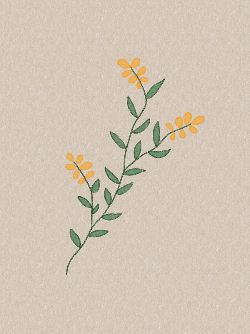 yellow flower, beige background, hand-drawn branch, SD Phone Wallpaper
