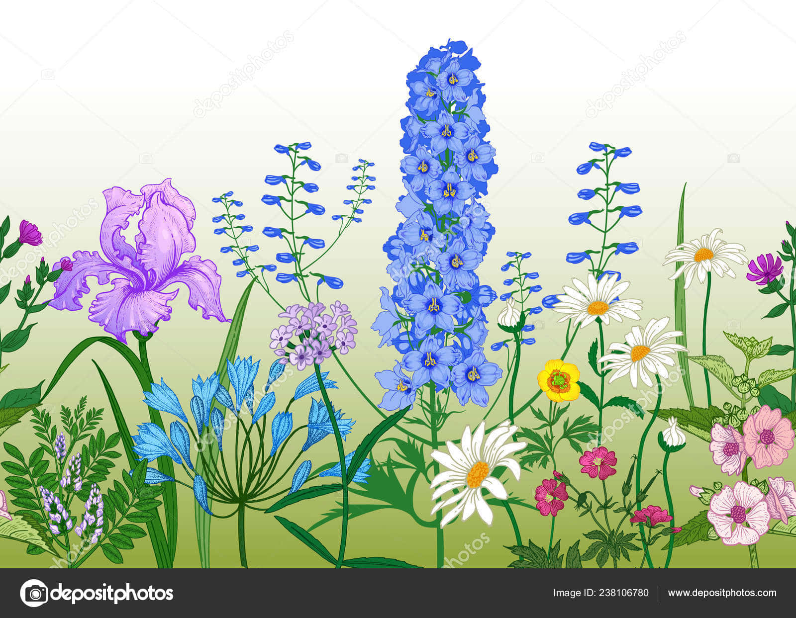 flower drawing, purple irises, blue delphiniums, HD Desktop Wallpaper