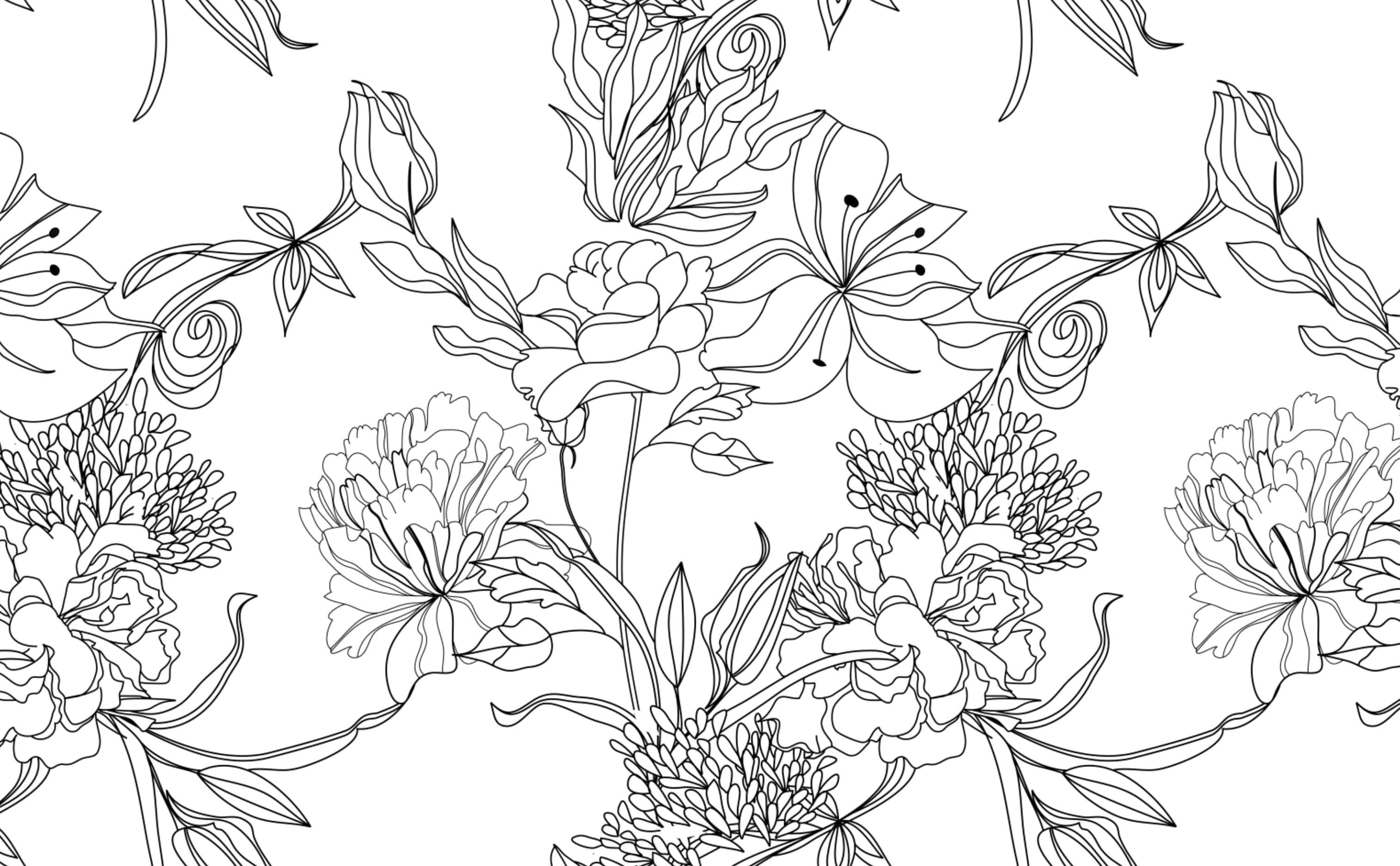 flower drawing, black line art, blooming flowers, 2K Desktop Wallpaper