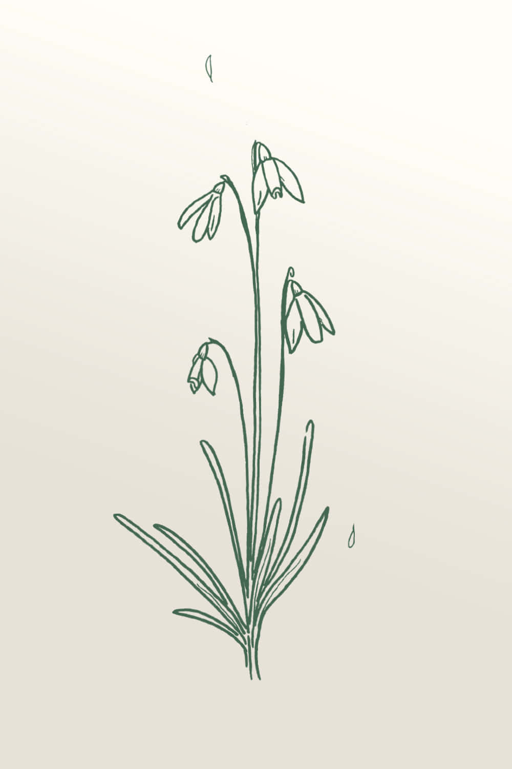 snowdrops, sketch style, slender stems, HD Phone Wallpaper