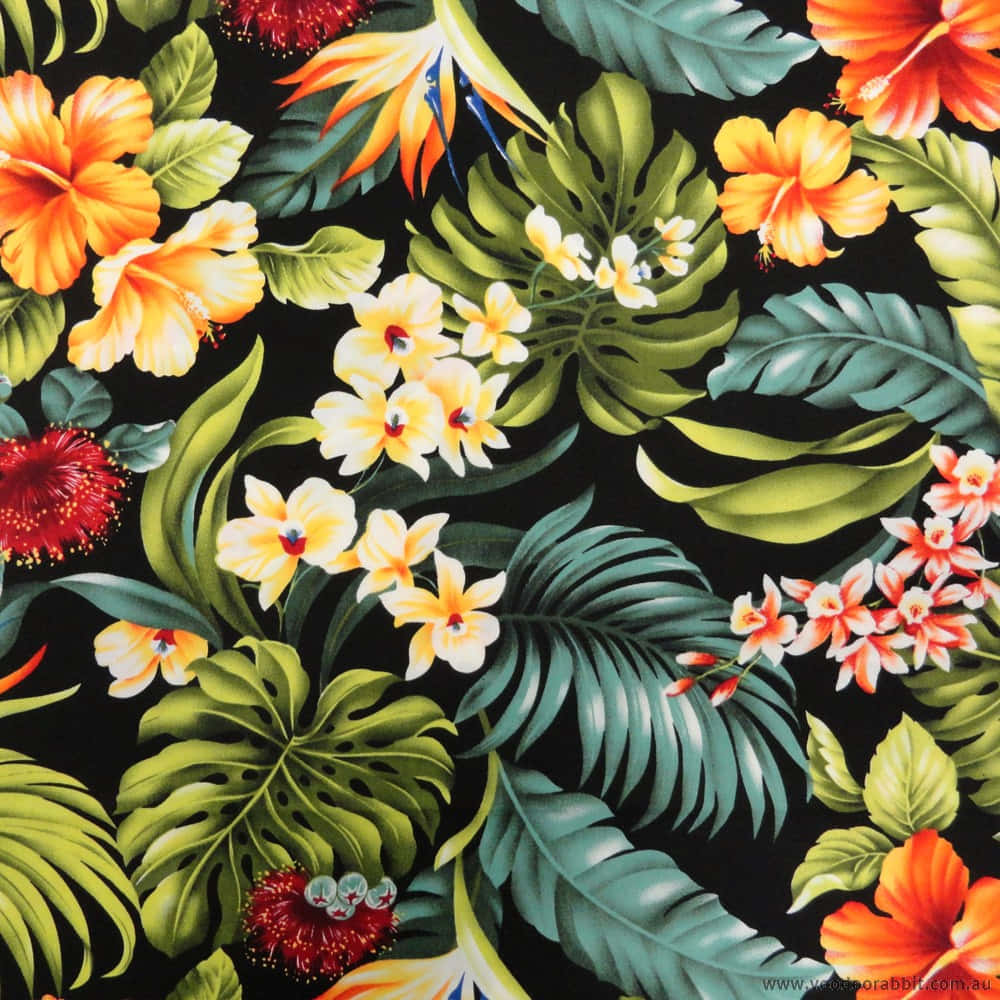 black fabric, tropical flowers, lush green leaves, SD Desktop Wallpaper