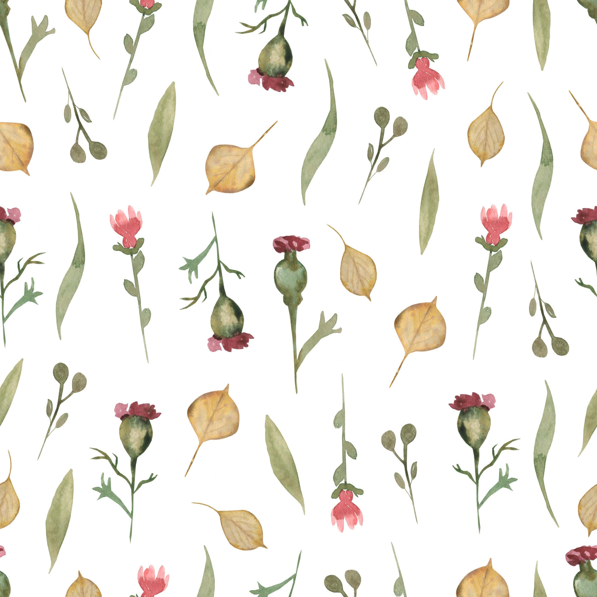 watercolor, botanical pattern, pink poppies, Full HD Desktop Wallpaper