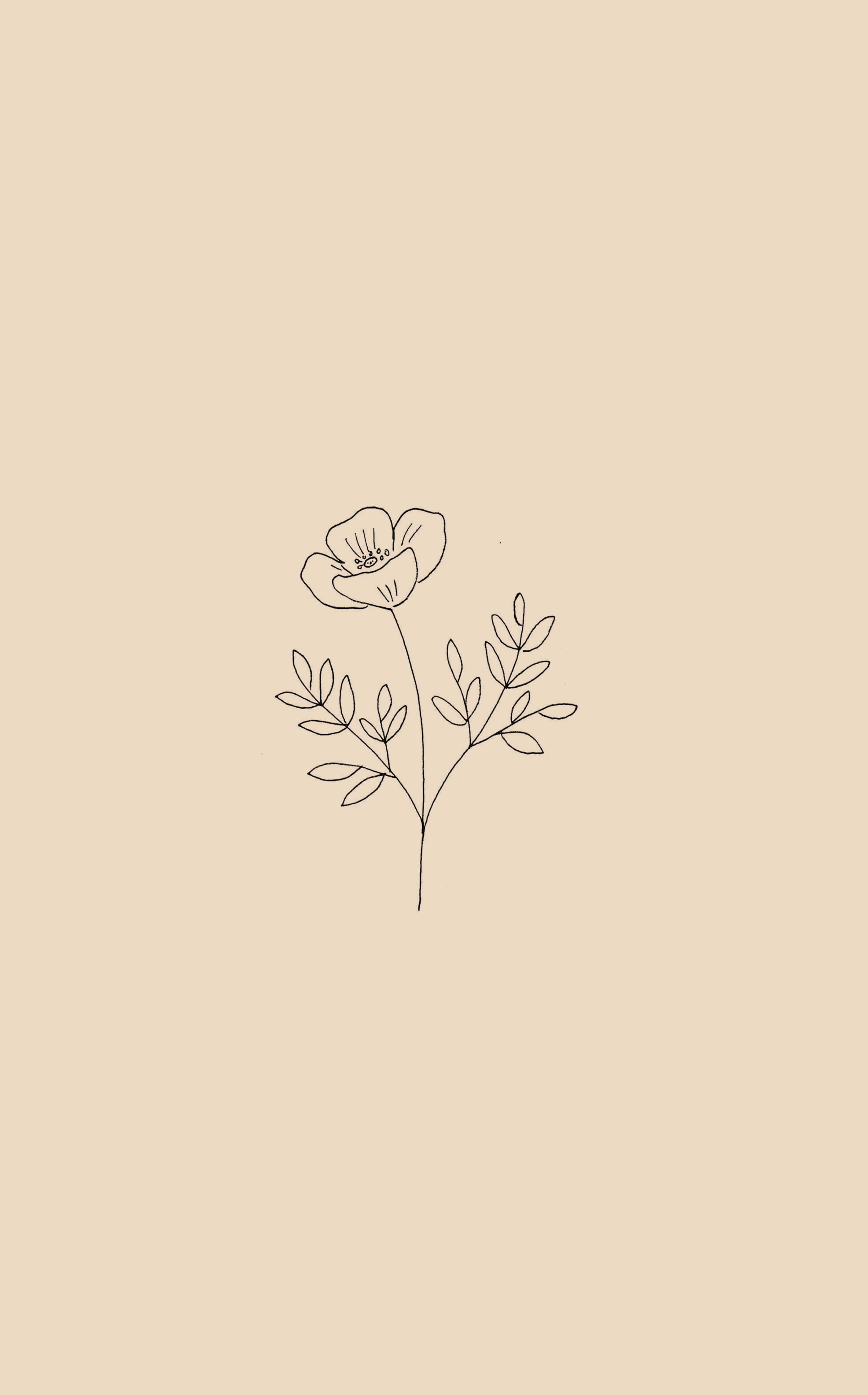 flower, beige background, minimalist line drawing, 4K Phone Wallpaper